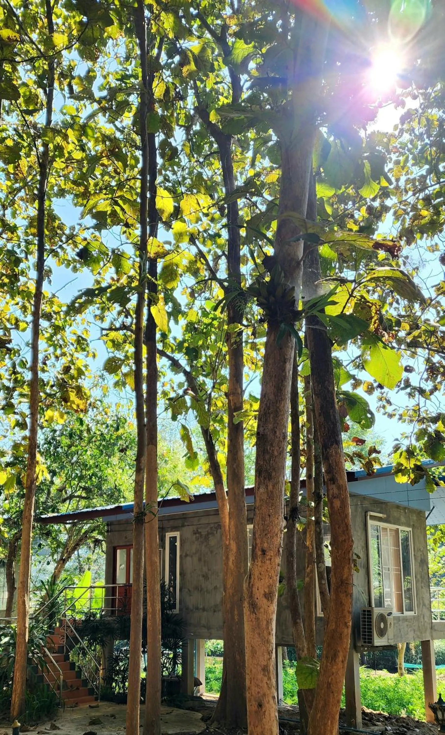 Rimtharnn Homestay Maewin