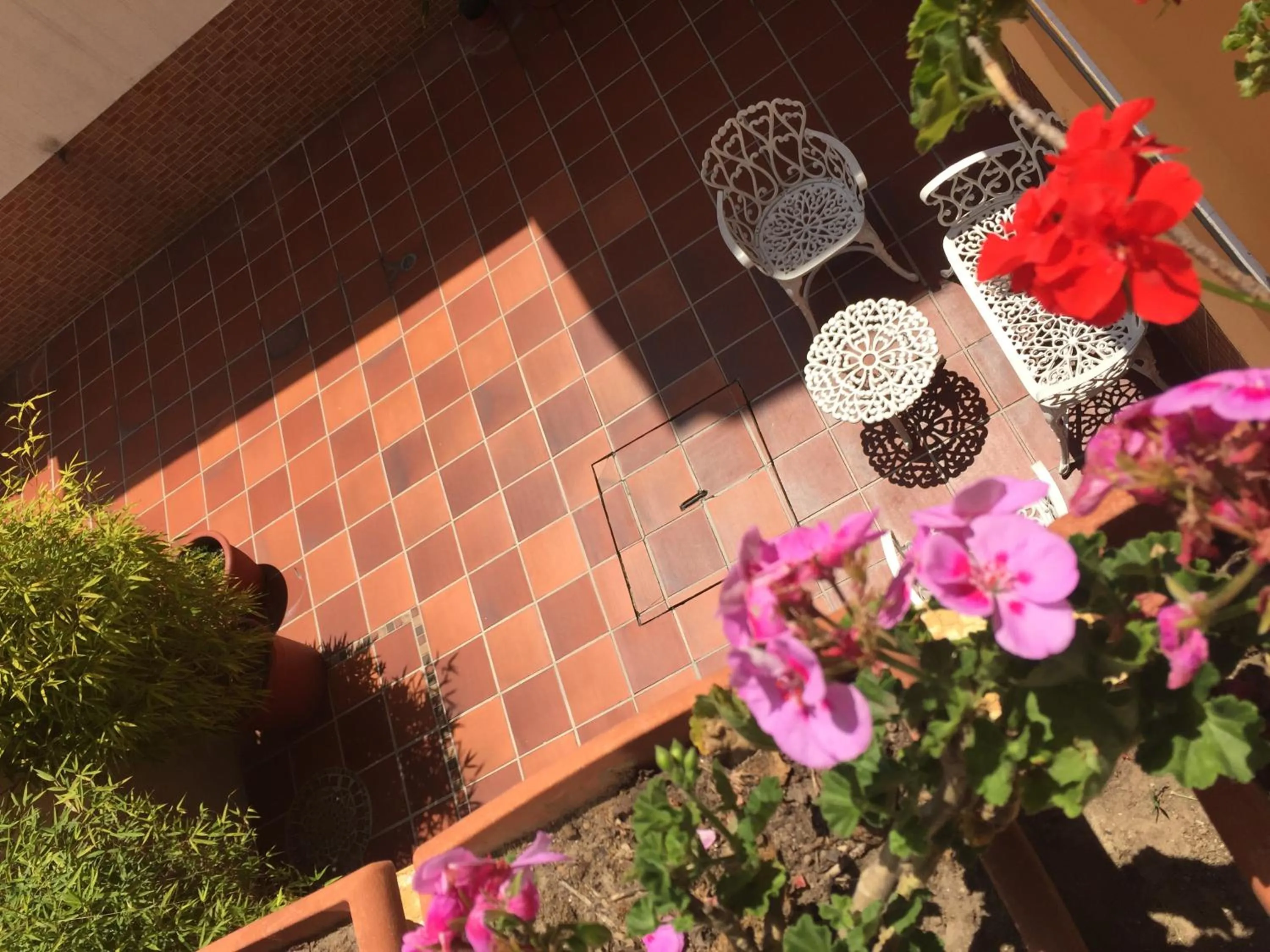 Patio in Hotel Mediterraneo Quito