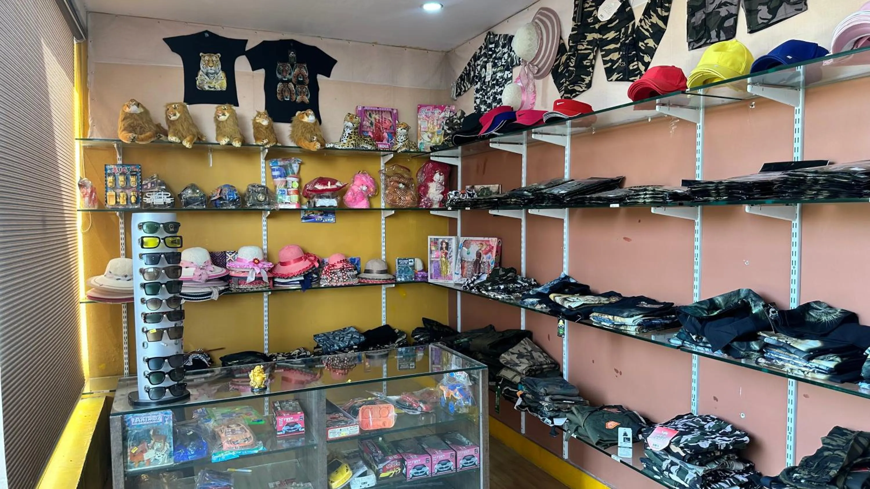 Shopping Area in Lion Park Hotel & Resorts