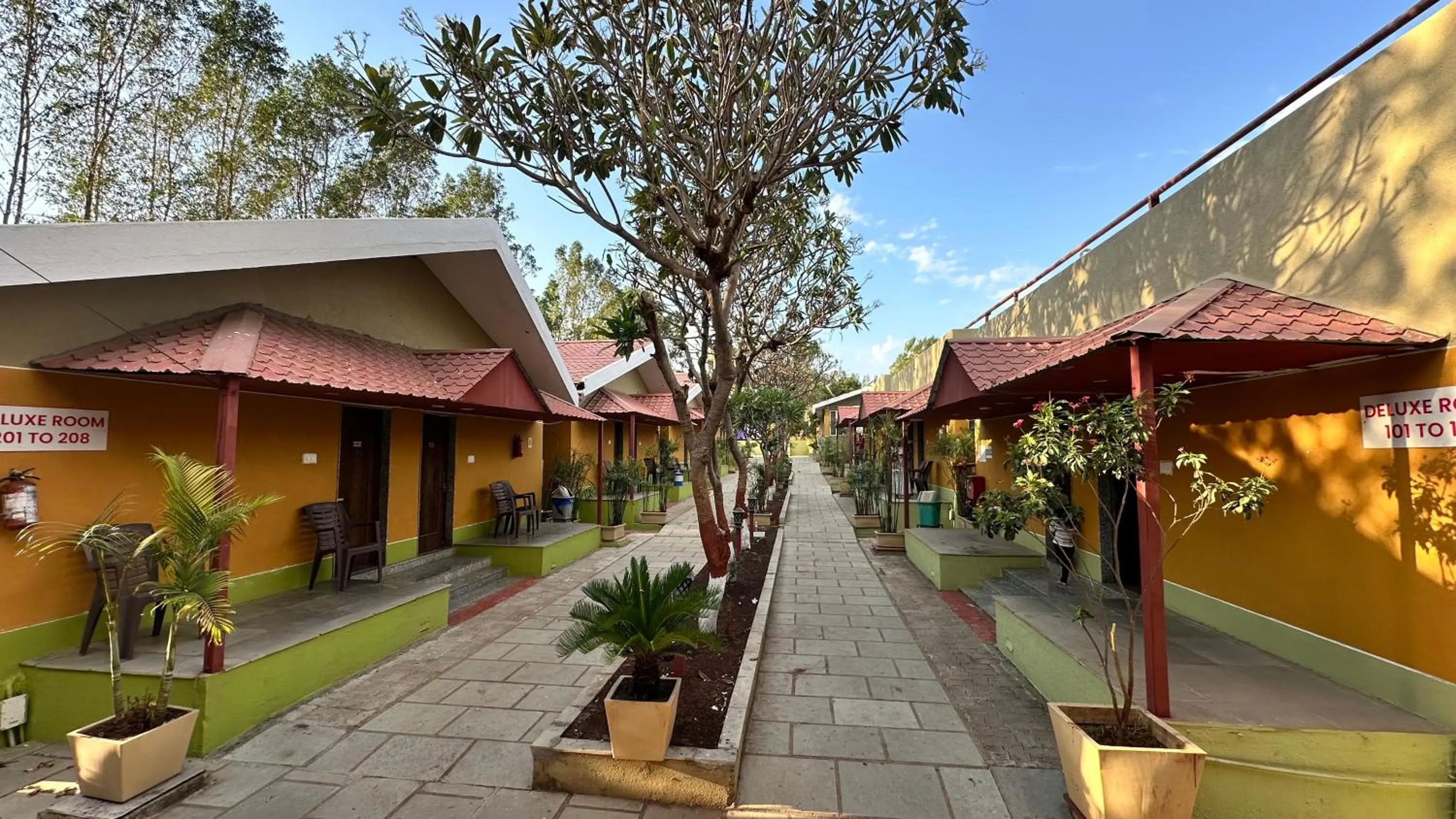 Day in Lion Park Hotel & Resorts