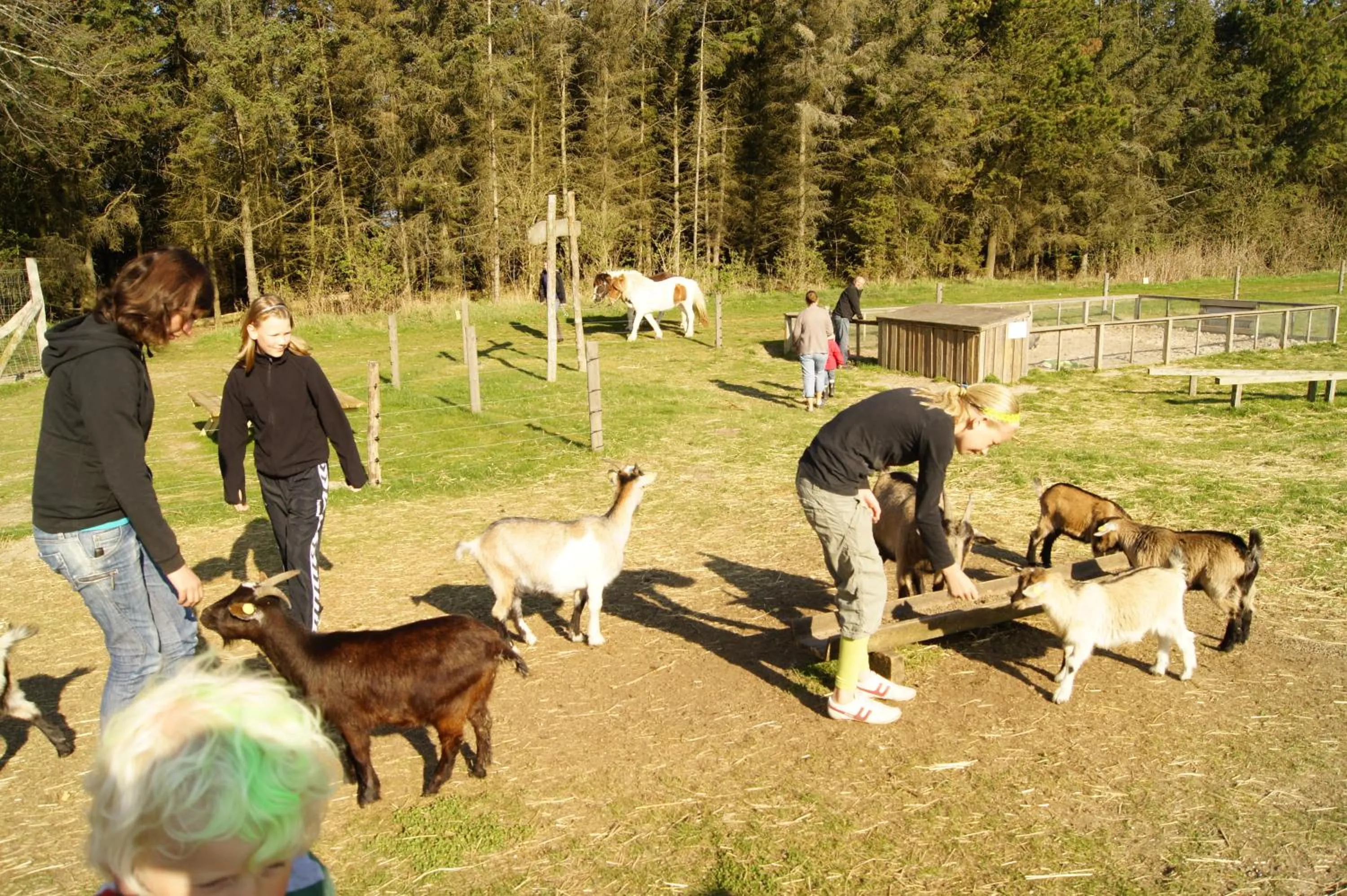 Kids's club in Gl. Klitgaard Camping & Cottages