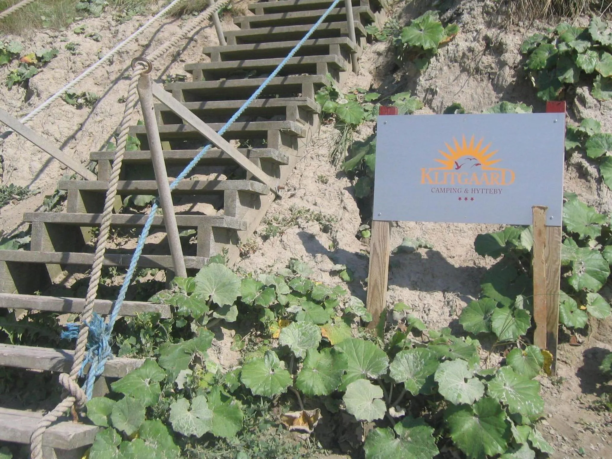 Area and facilities in Gl. Klitgaard Camping & Cottages