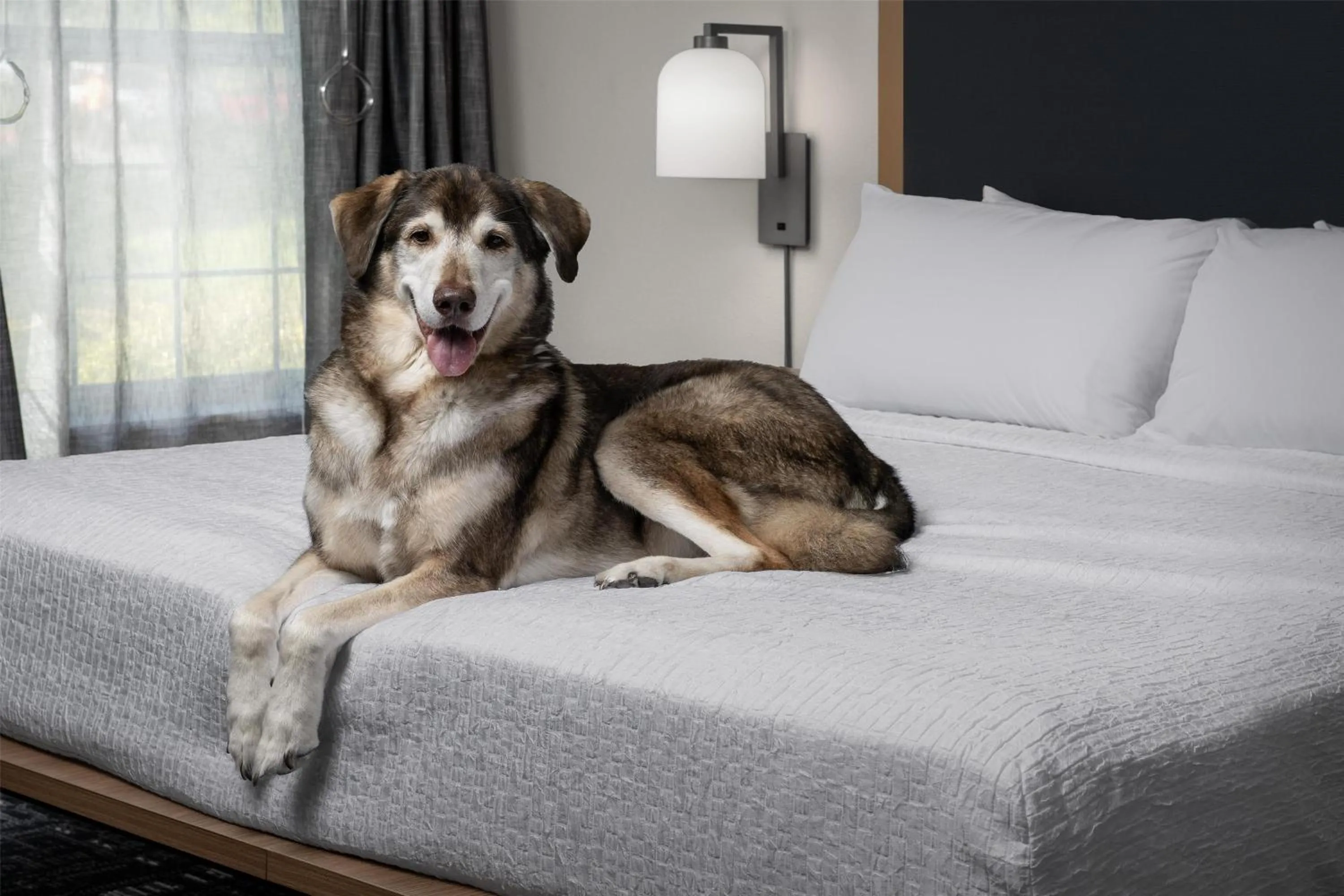 Photo of the whole room in Homewood Suites by Hilton Vancouver / Portland