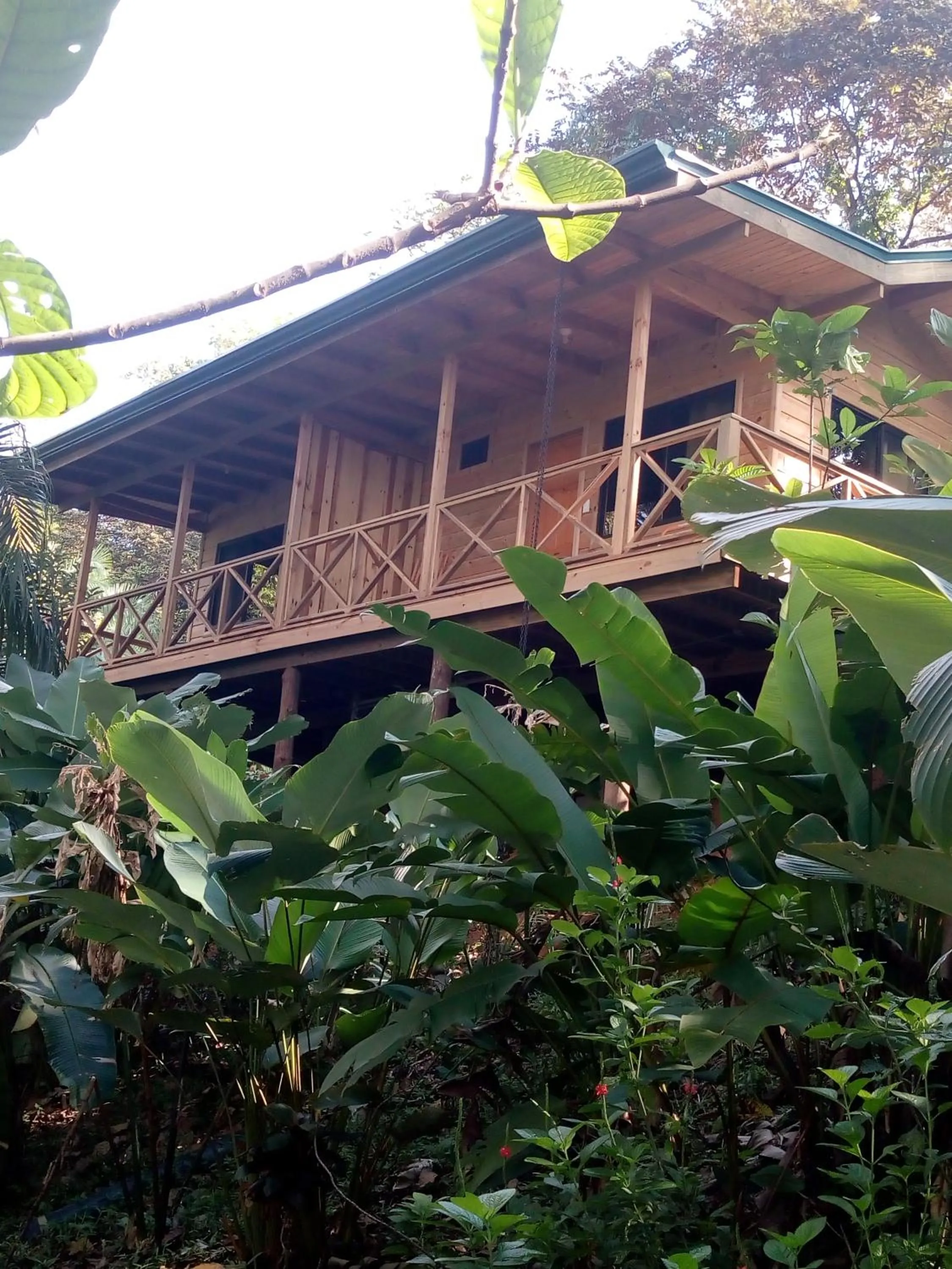 Forest Lodge
