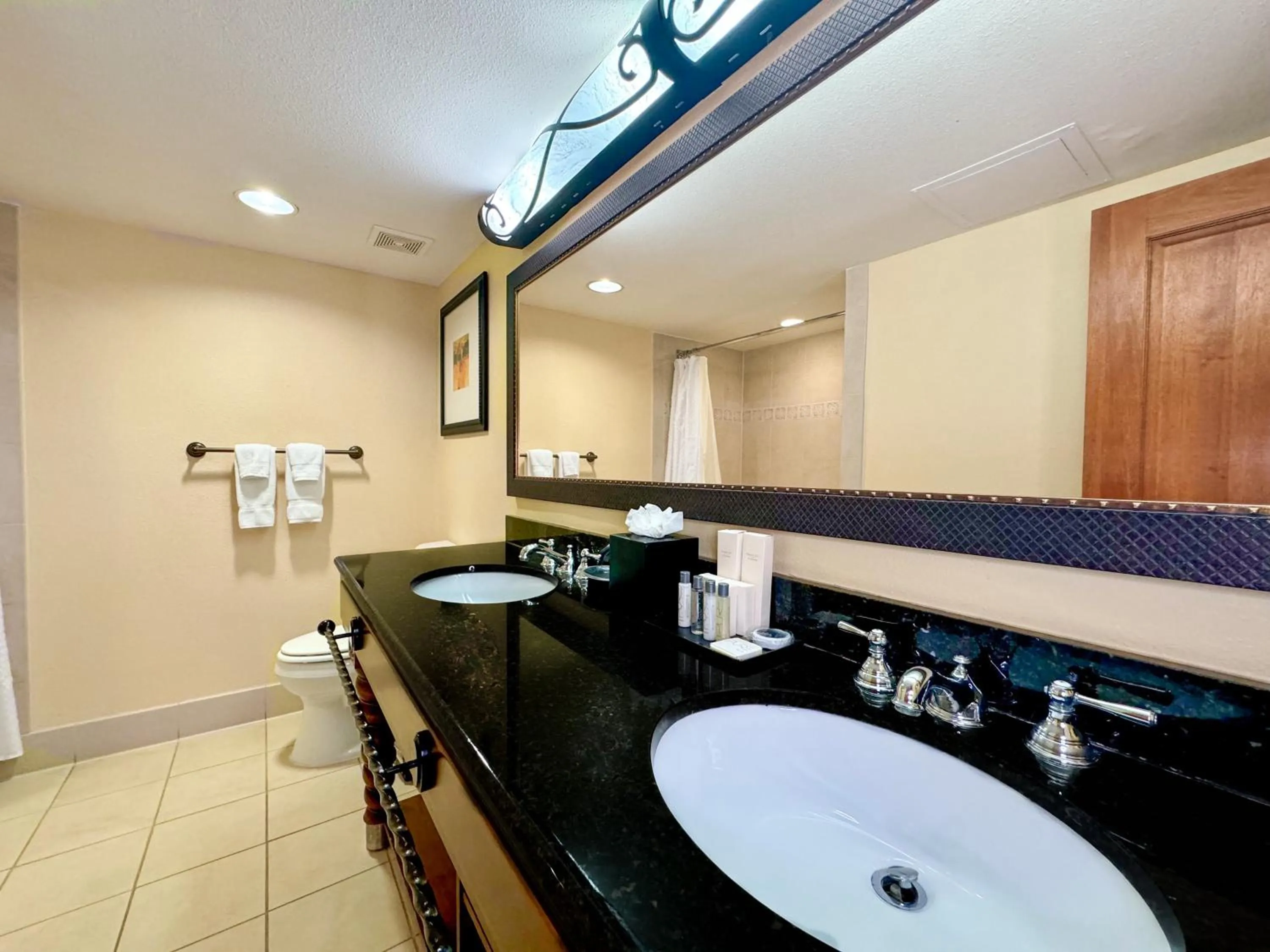 Toilet in La Posada Hotel