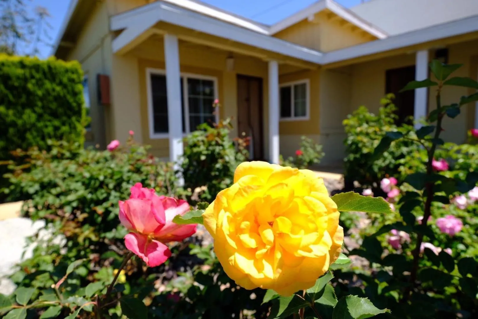 Property building in Royal Inn and Suites