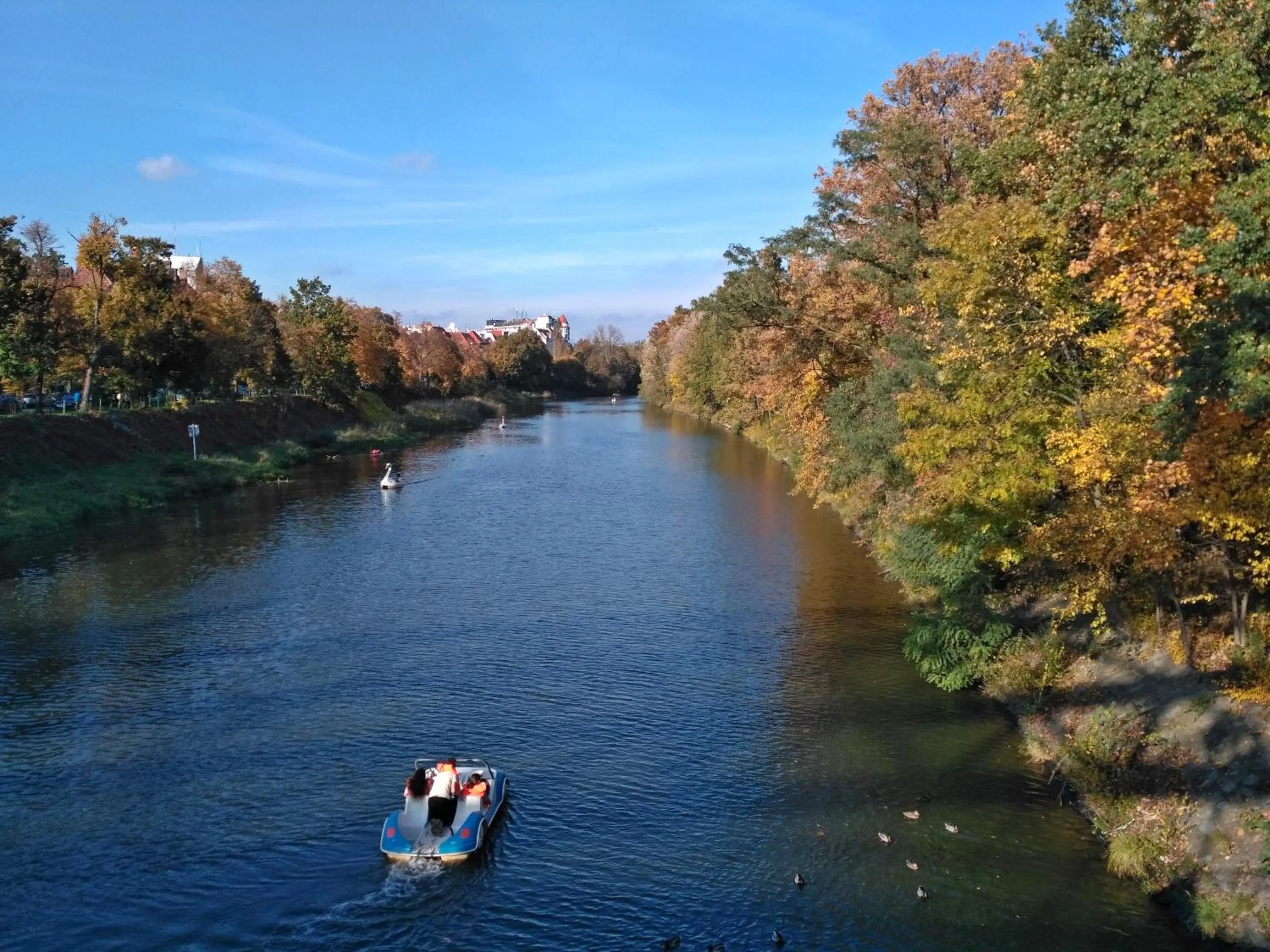 Off site in Green Hostel Wrocław przy ZOO