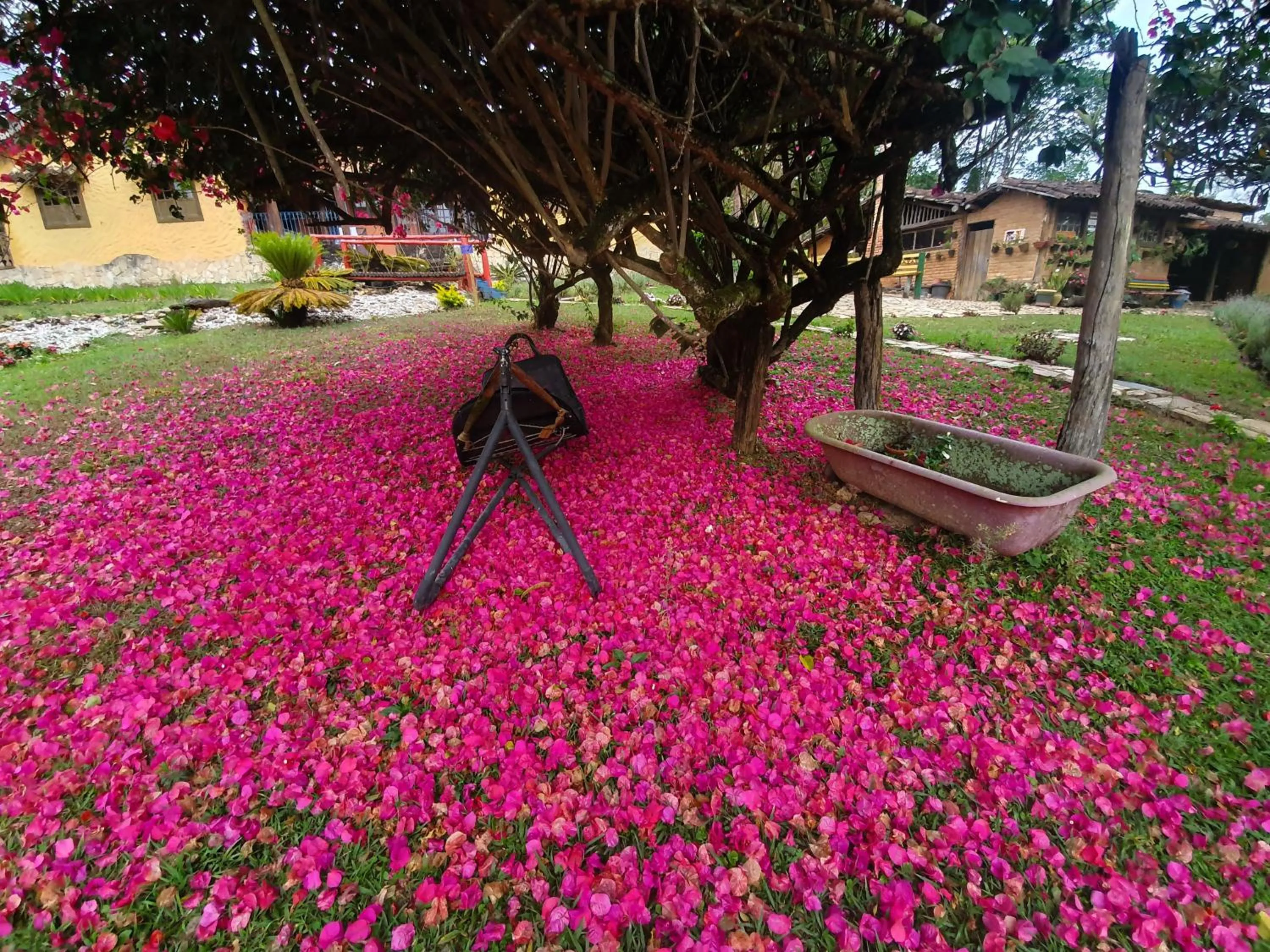 Garden view in Capricho Asturiano