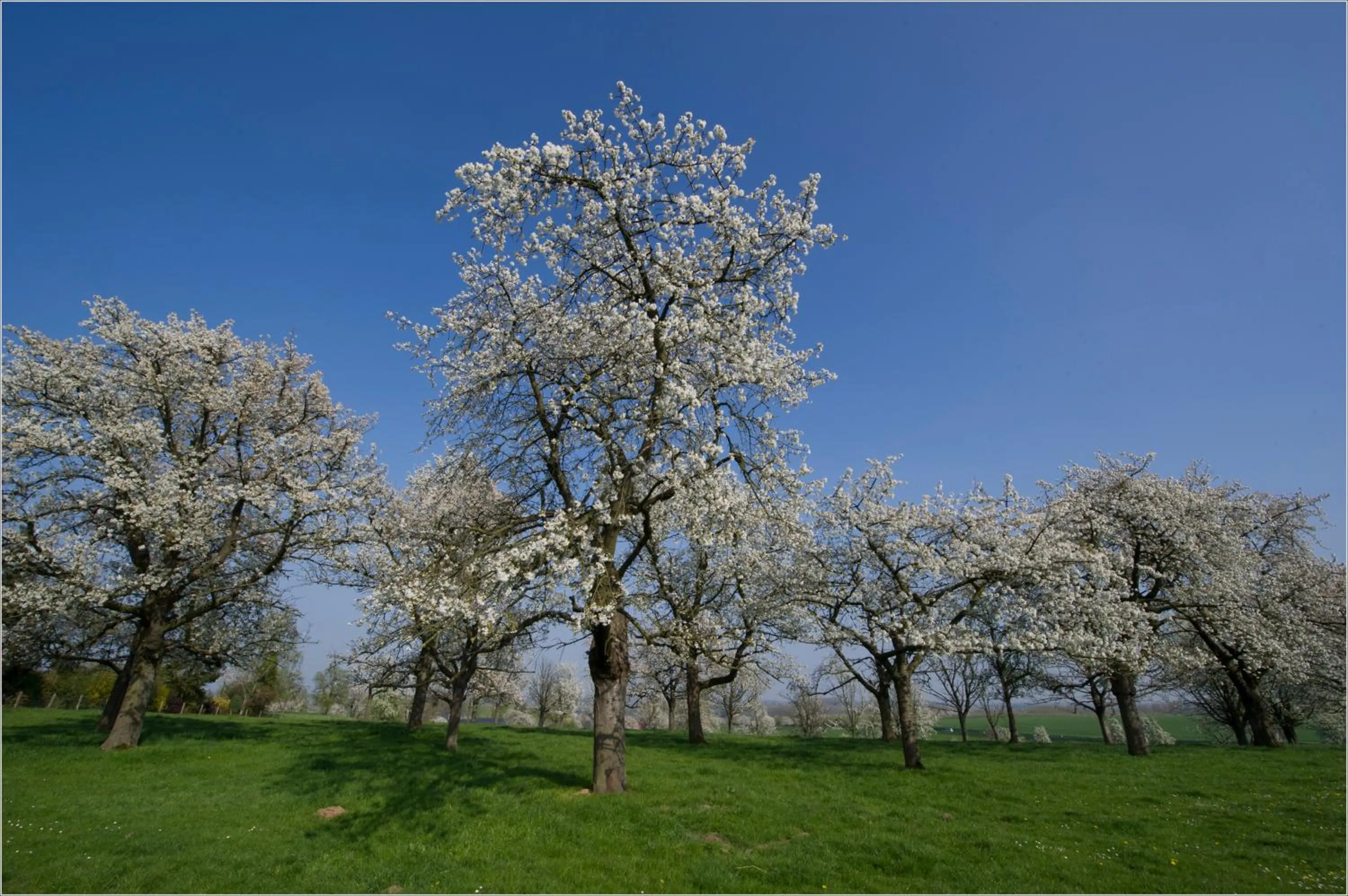 Natural landscape in Liry's Home