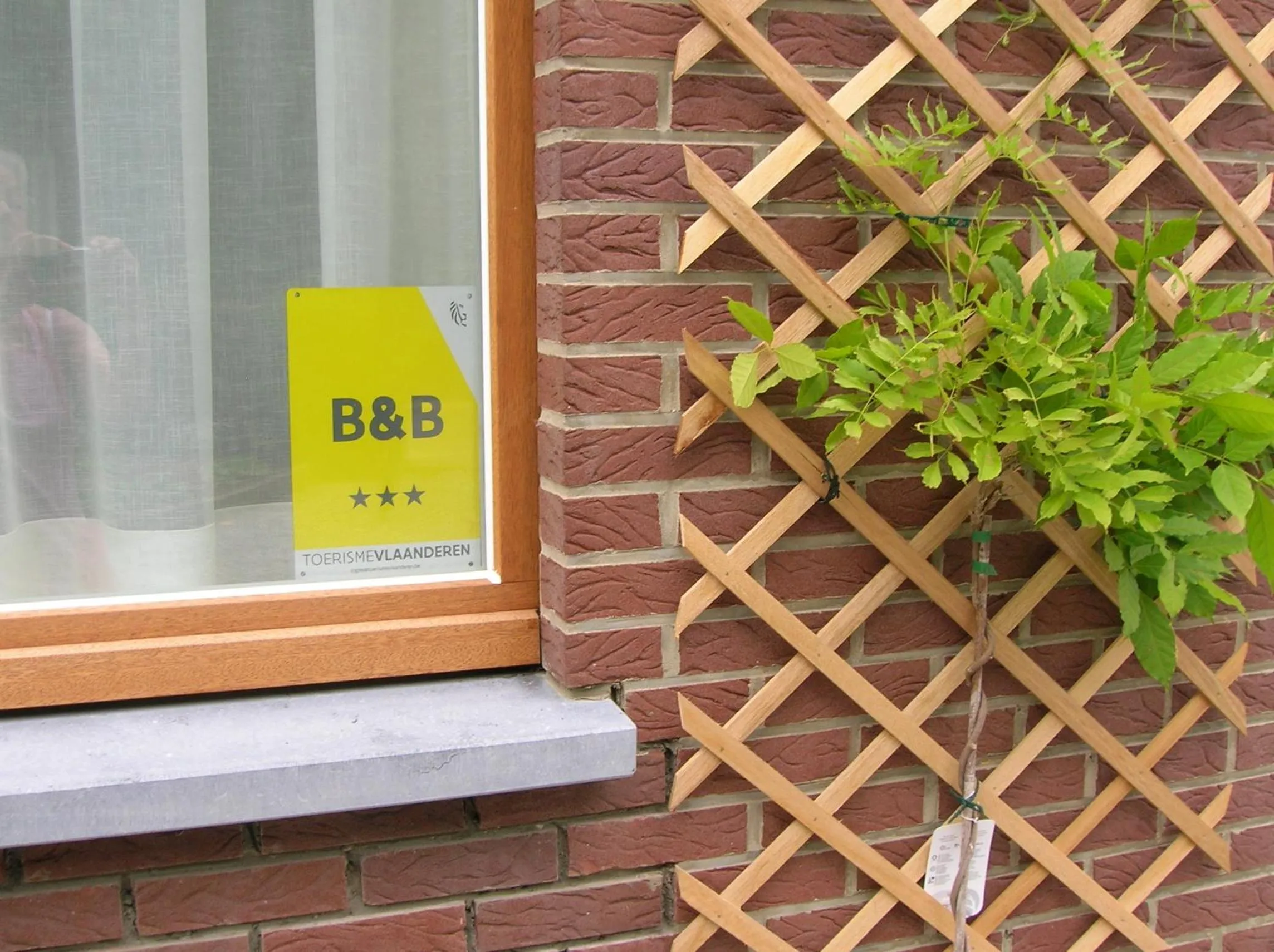 Logo/Certificate/Sign in Liry's Home