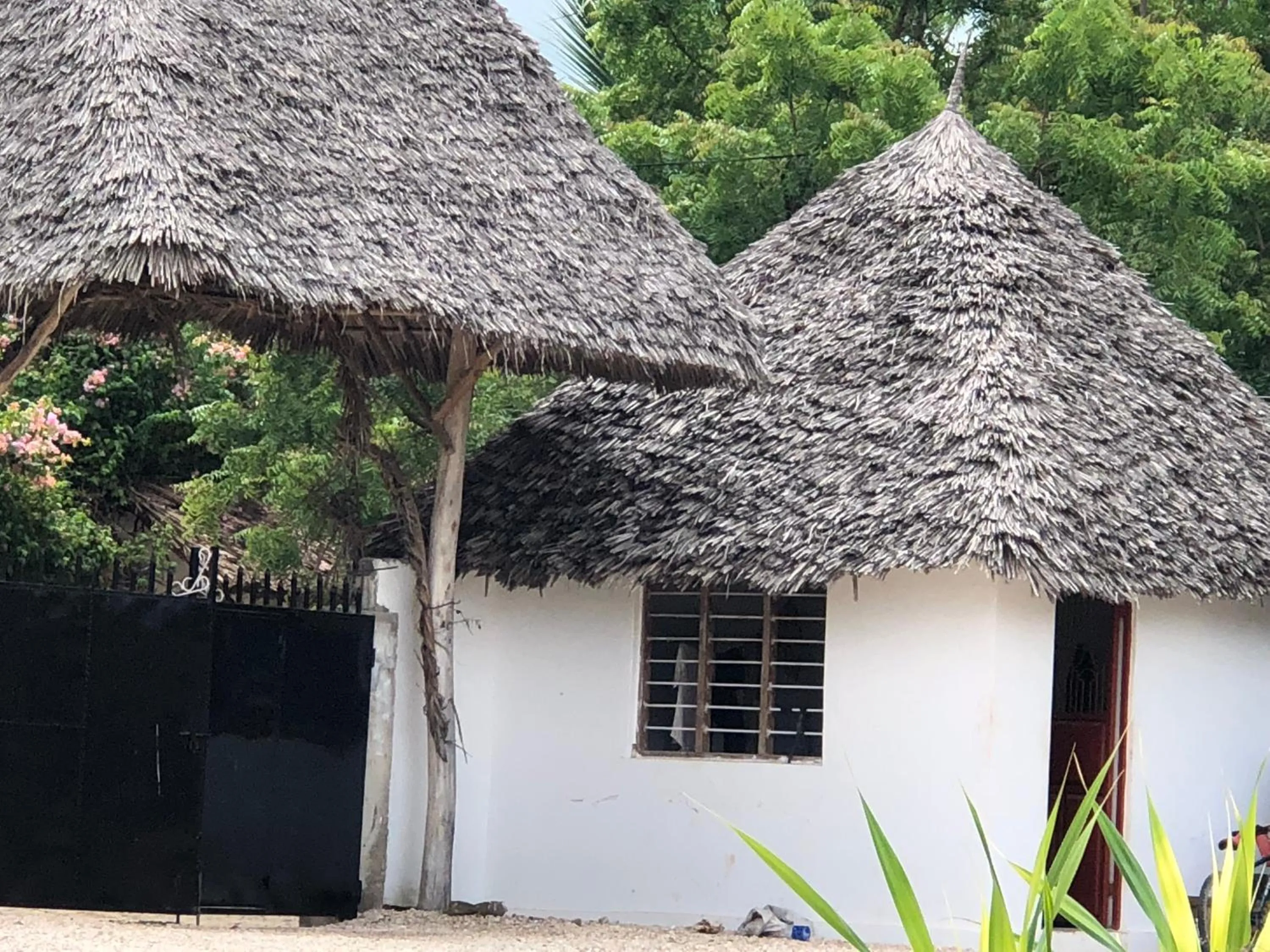 Property building in Shamba Lodge