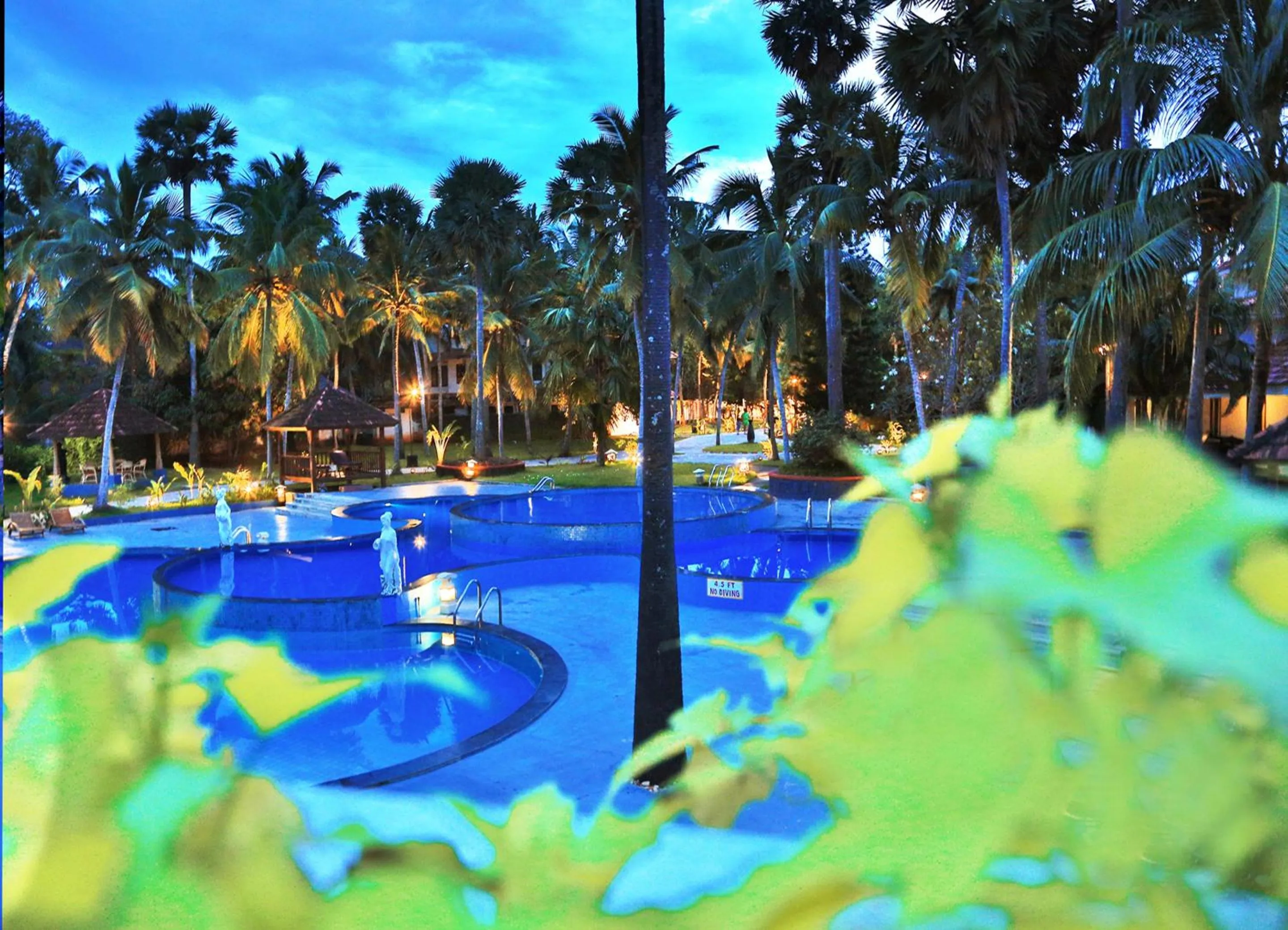 Swimming pool in Estuary Sarovar Premiere Poovar Island