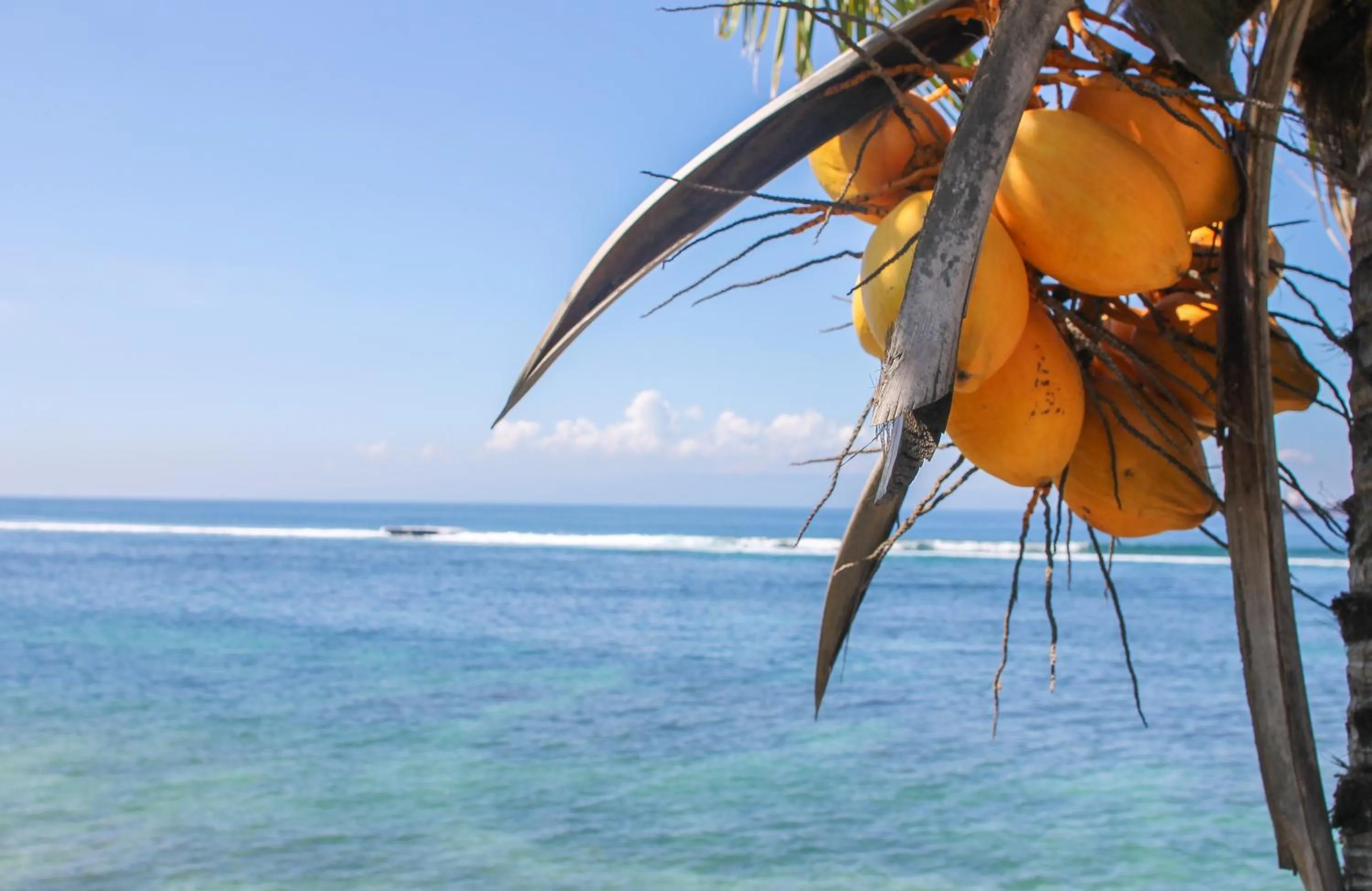 Day in Sea Breeze Candidasa