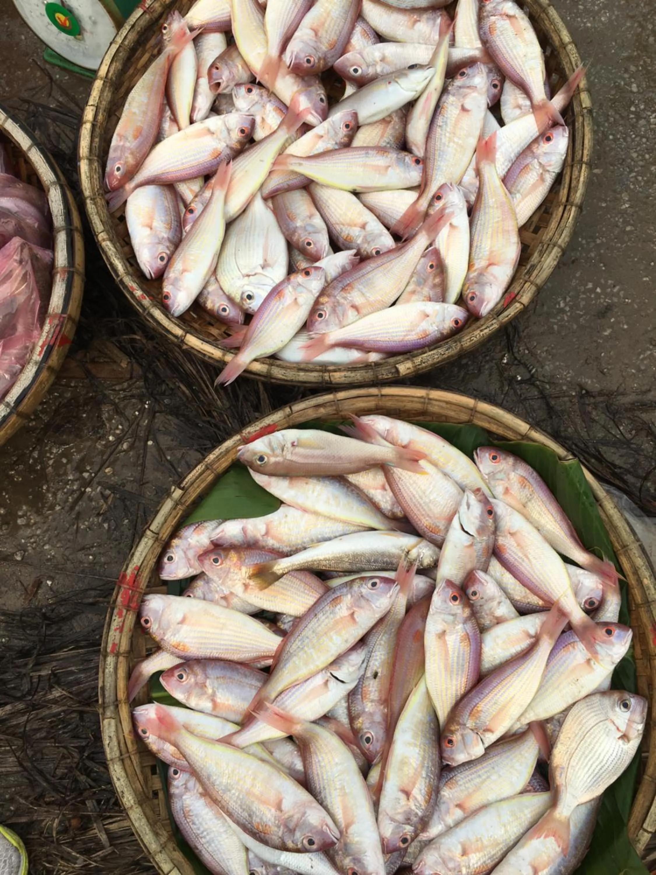 Food and drinks in Ngoc Linh Villas