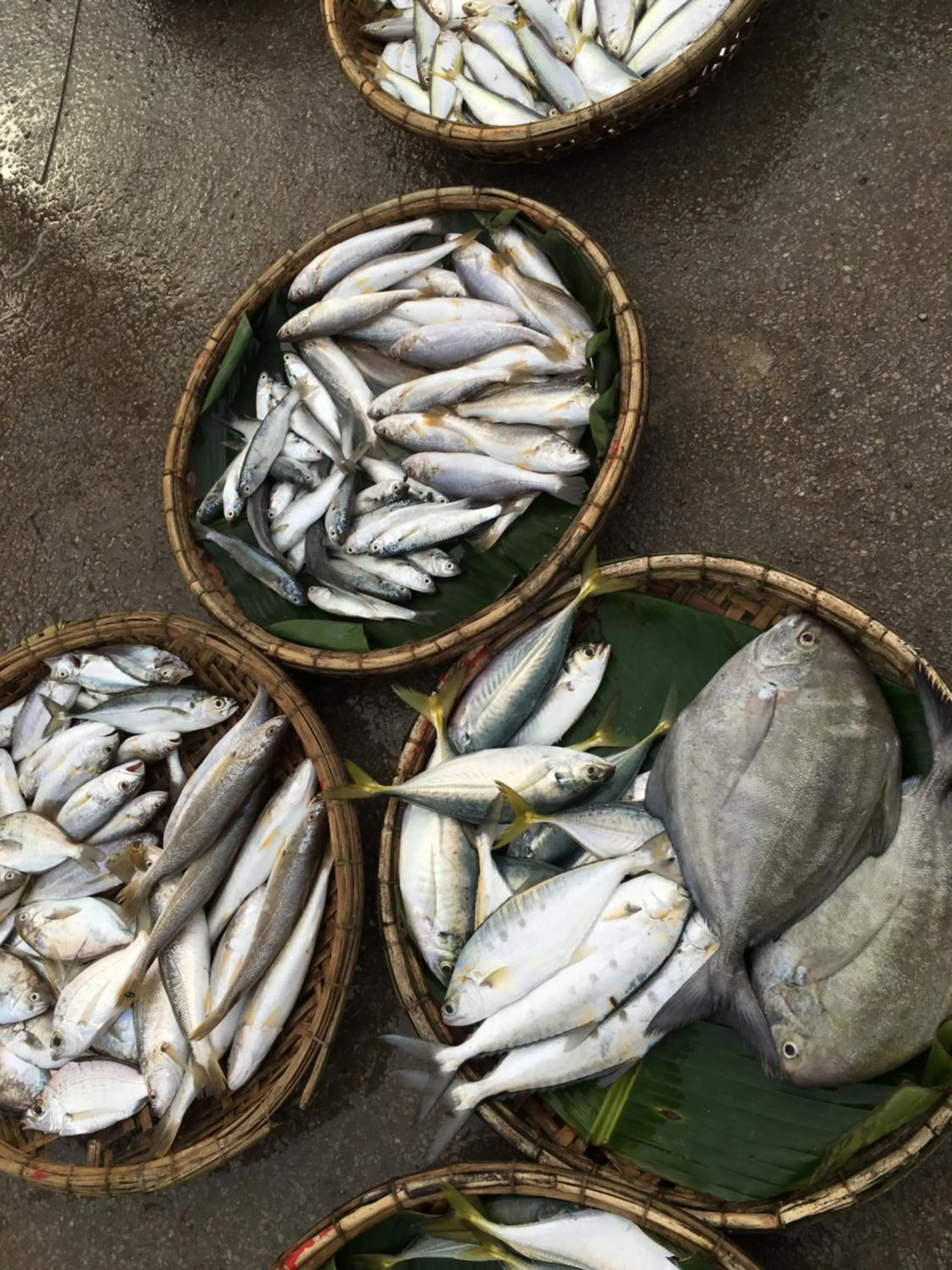 Food and drinks in Ngoc Linh Villas