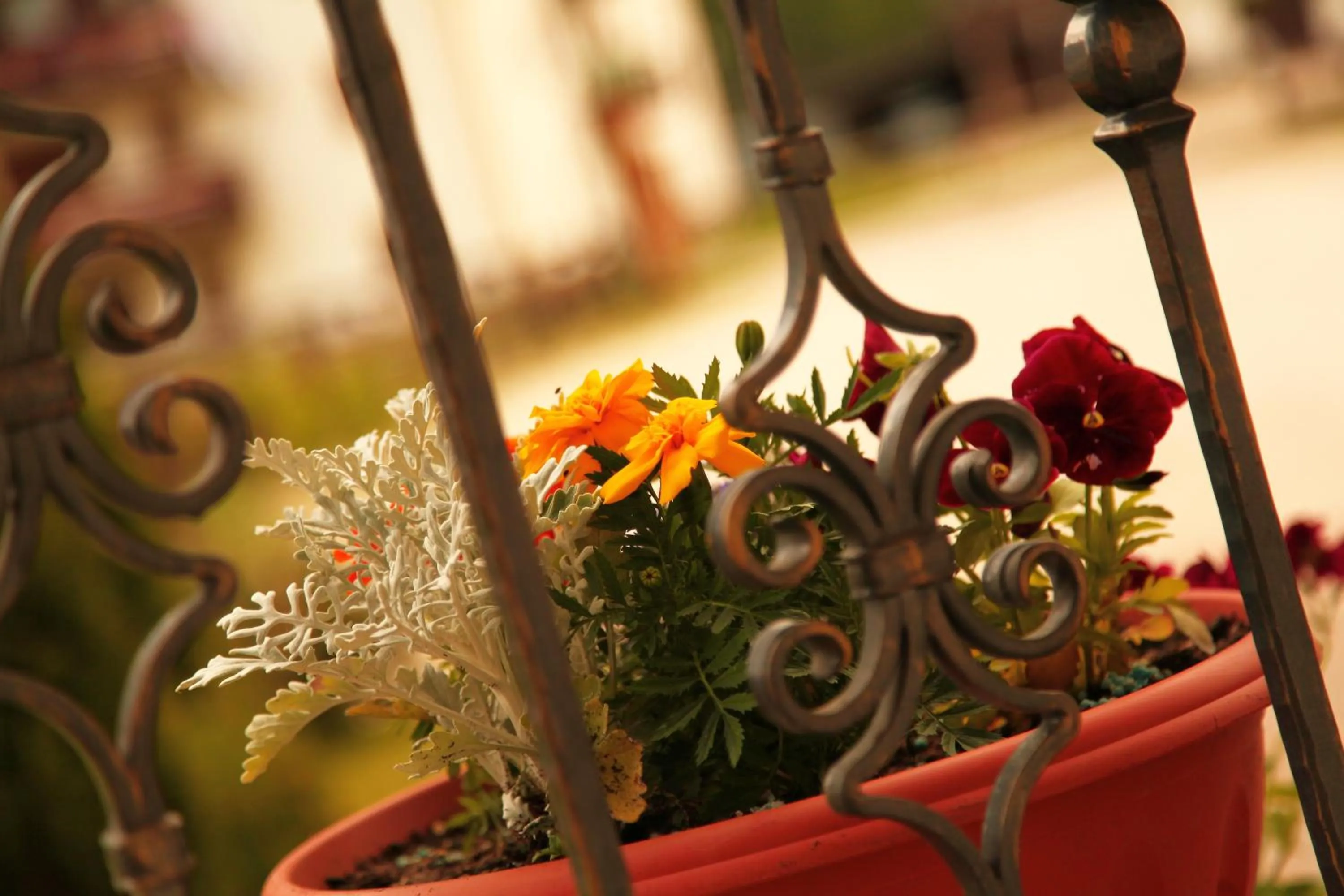 Other in Garnì Prà Fiorì