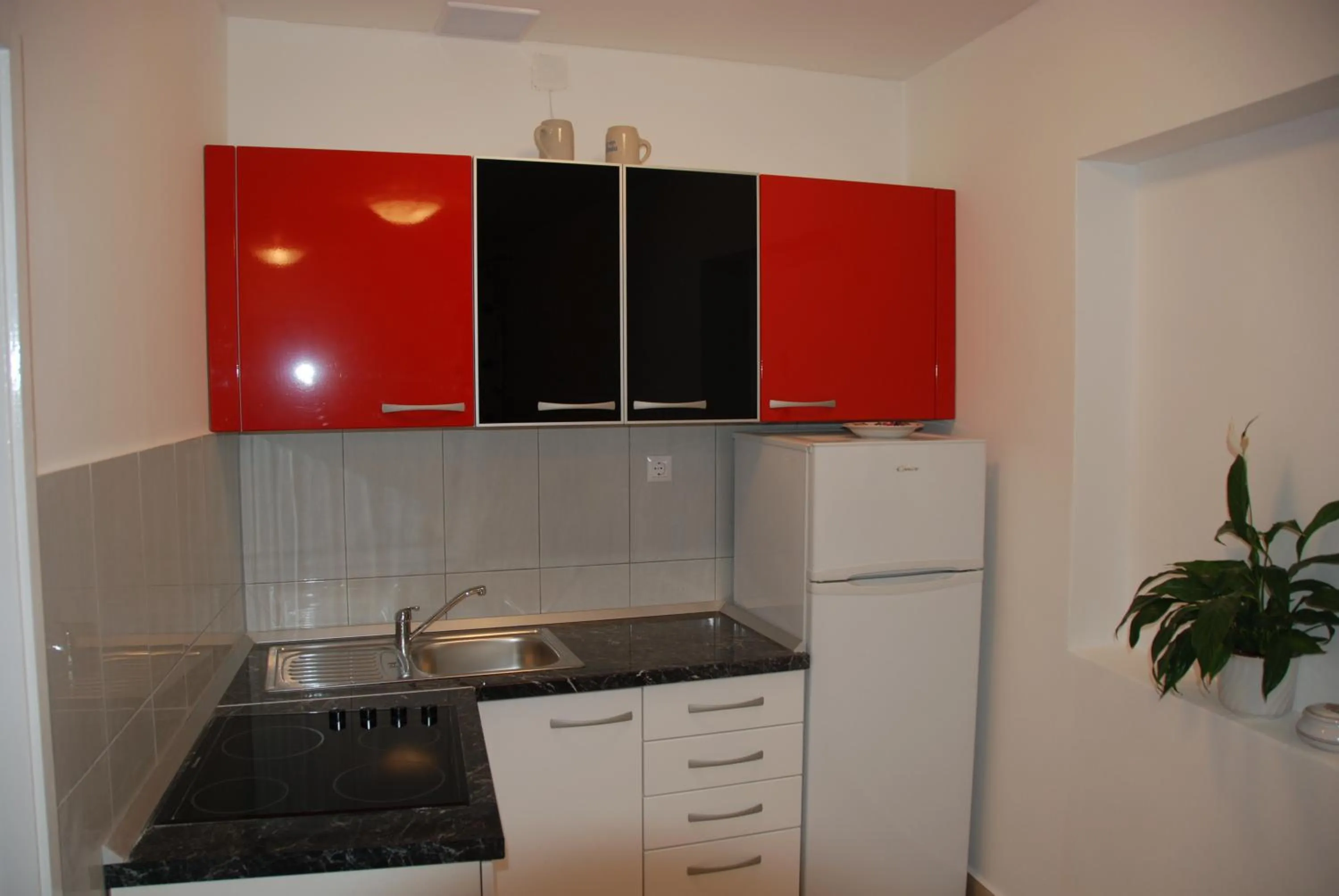 Kitchen or kitchenette in Hostel Villa Zorana
