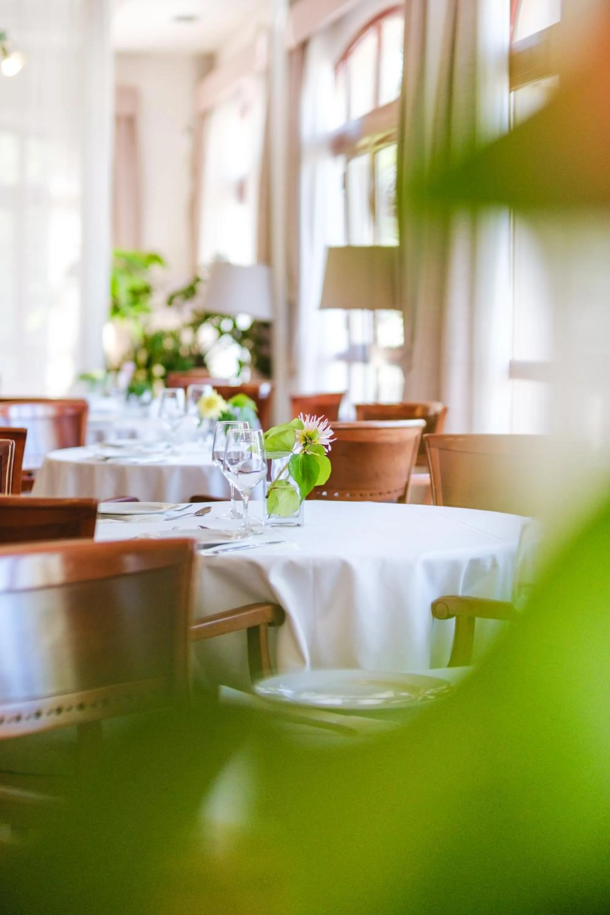 Dining area in Hotel Ciutat Jardi