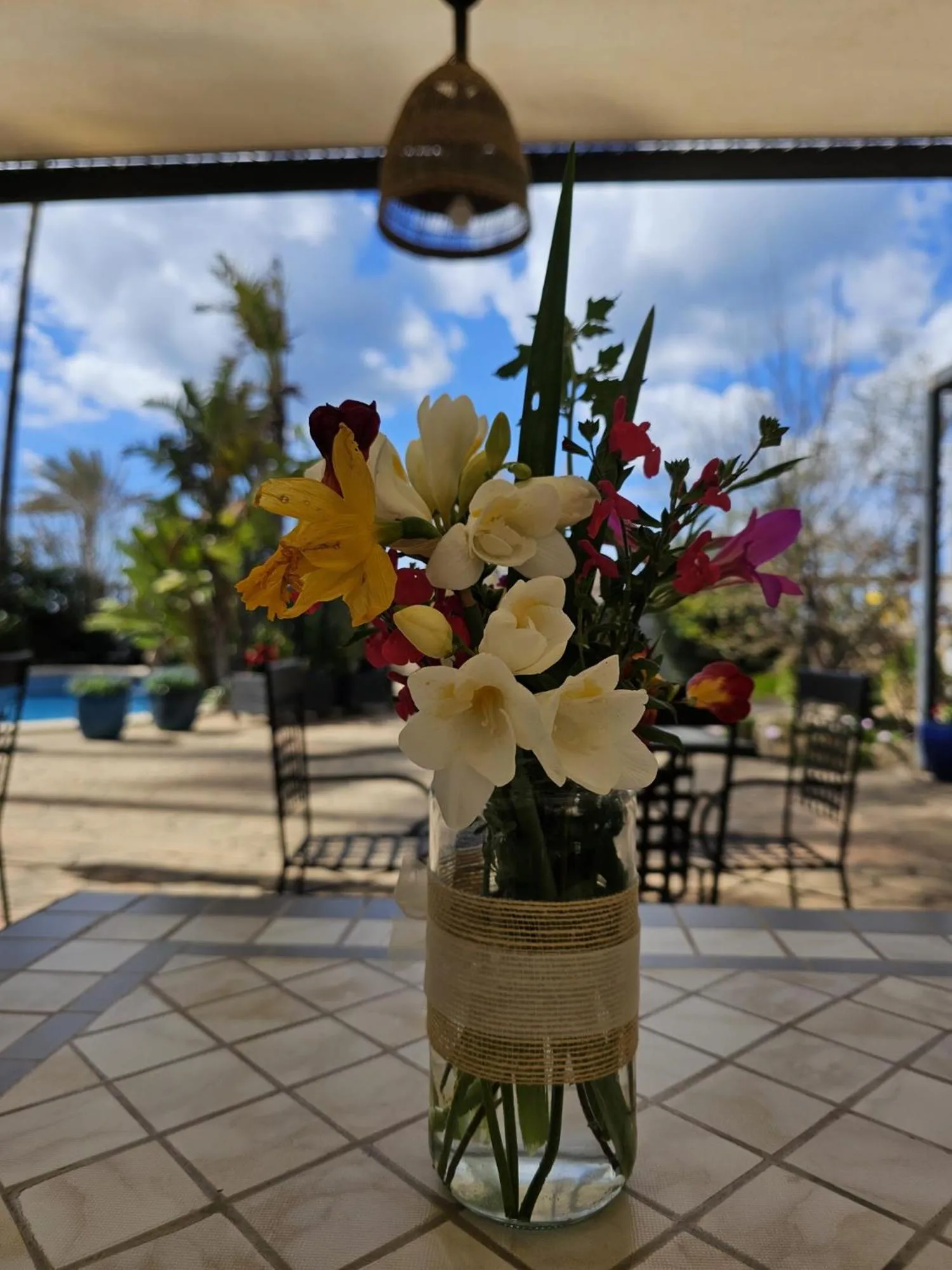 Garden in Hotel Ciutat Jardi