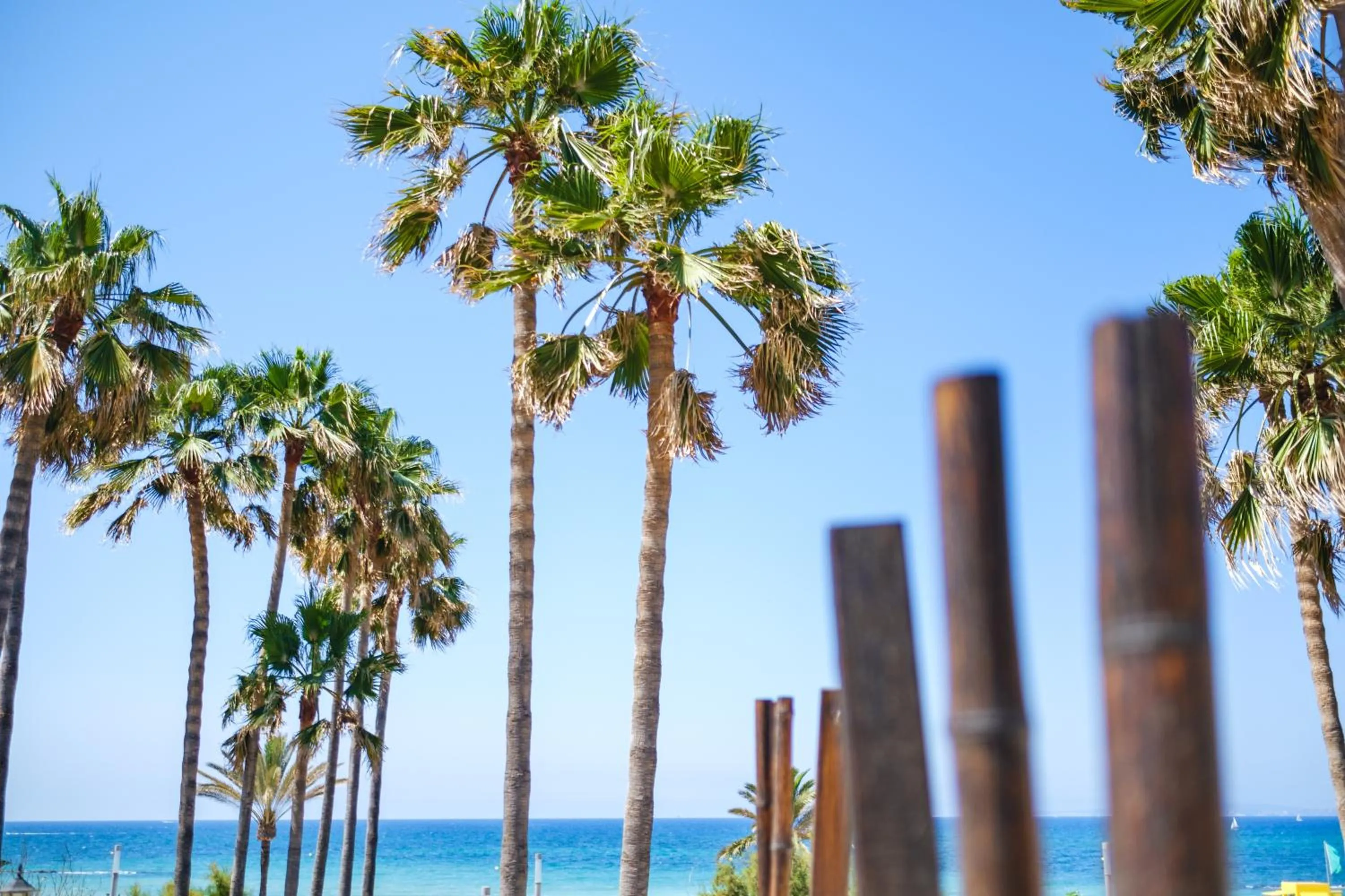 Balcony/Terrace in Hotel Ciutat Jardi