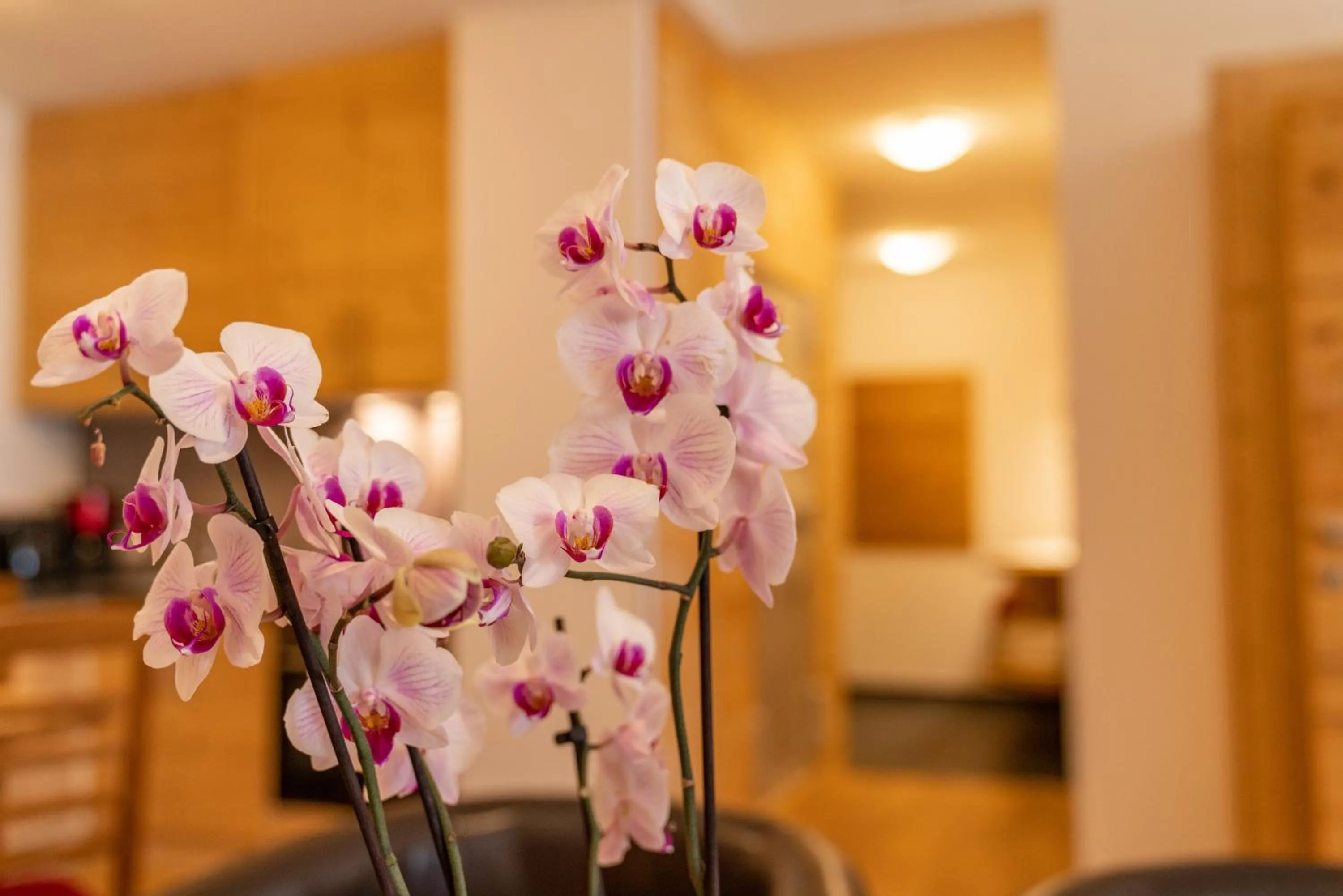 Kitchen or kitchenette in Sport & Familienhotel Bärenwirt