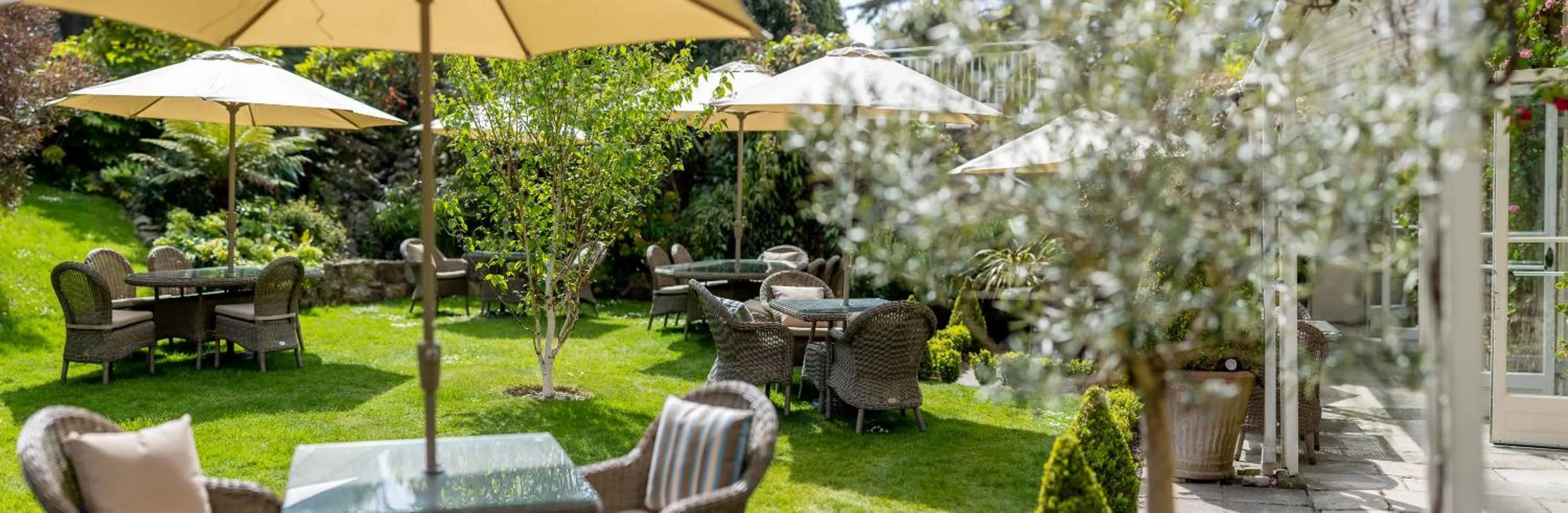 Garden in The Royal Hotel