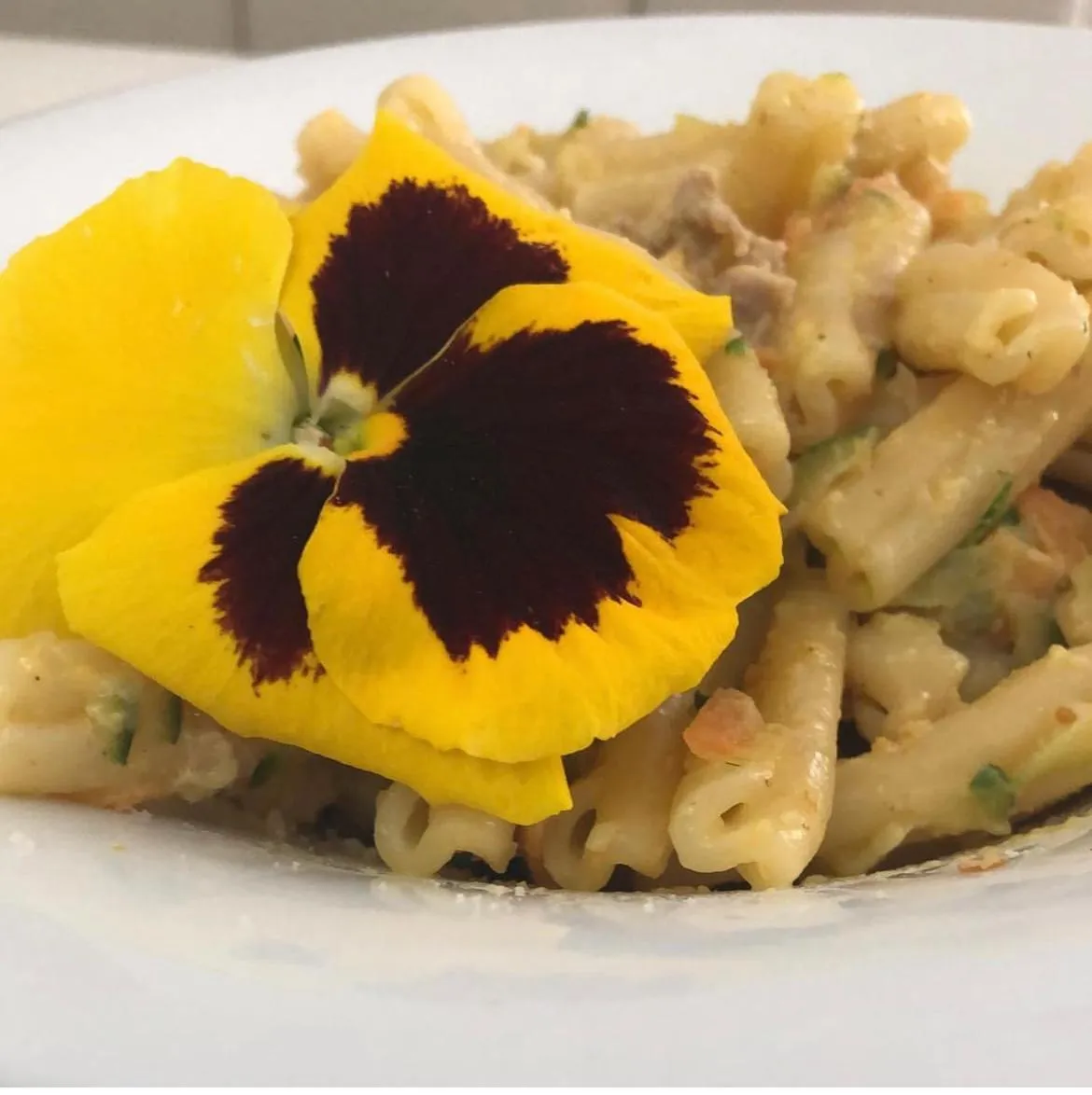 Casa Oliva Albergo Diffuso