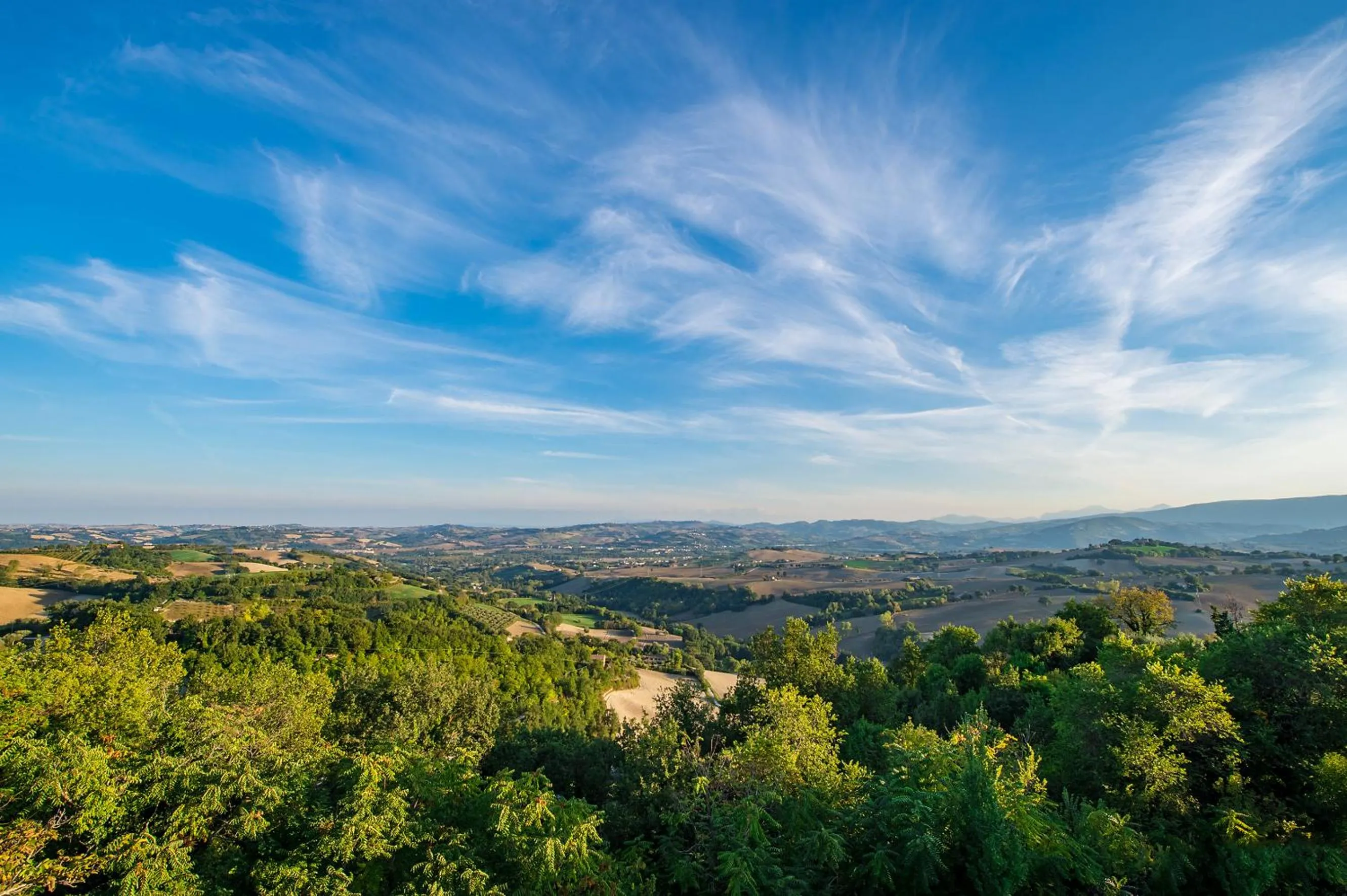 Restaurant/places to eat in Casa Oliva Albergo Diffuso