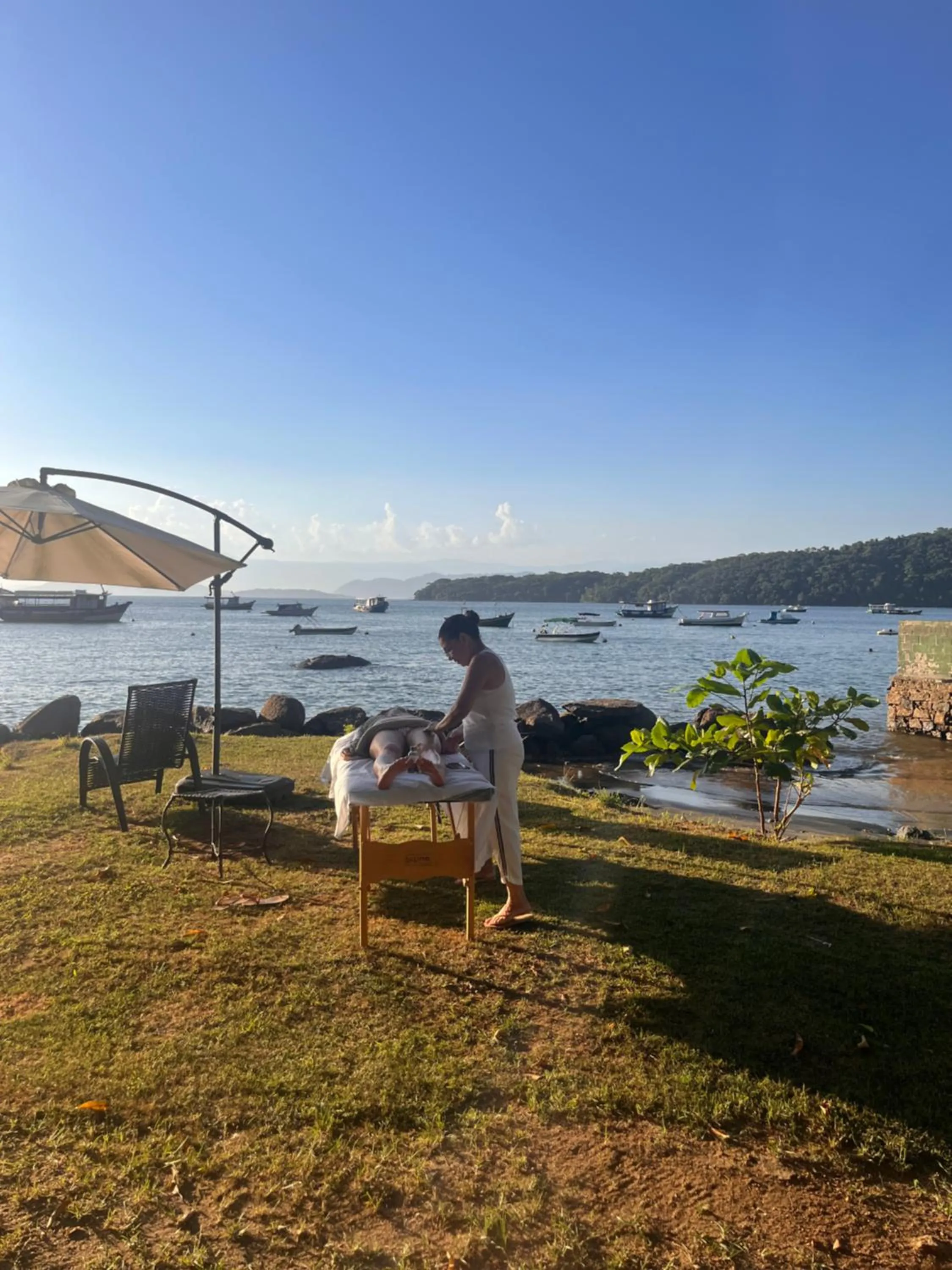 Natural landscape in Fauna