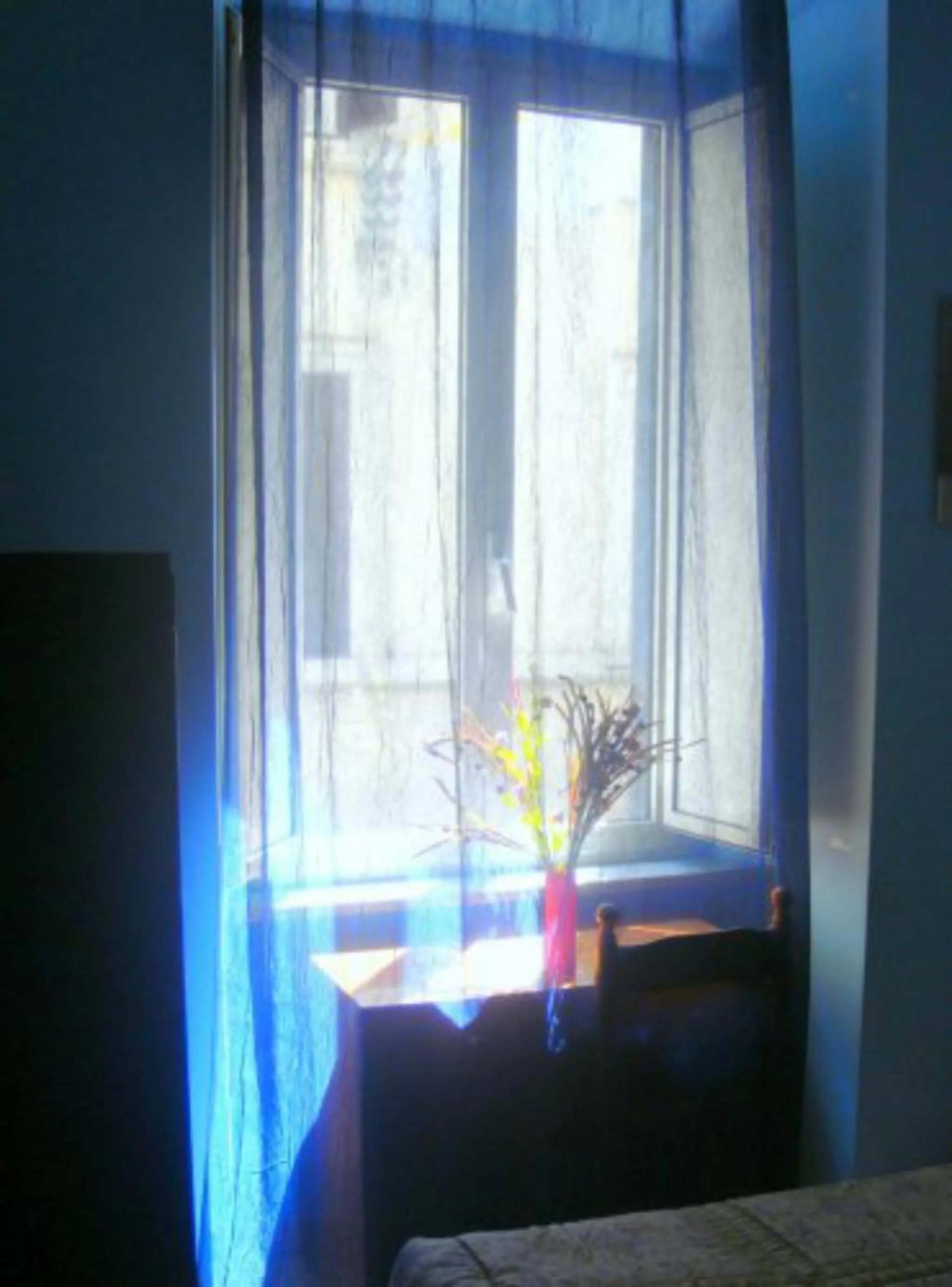 Decorative detail in B&B Cappellini