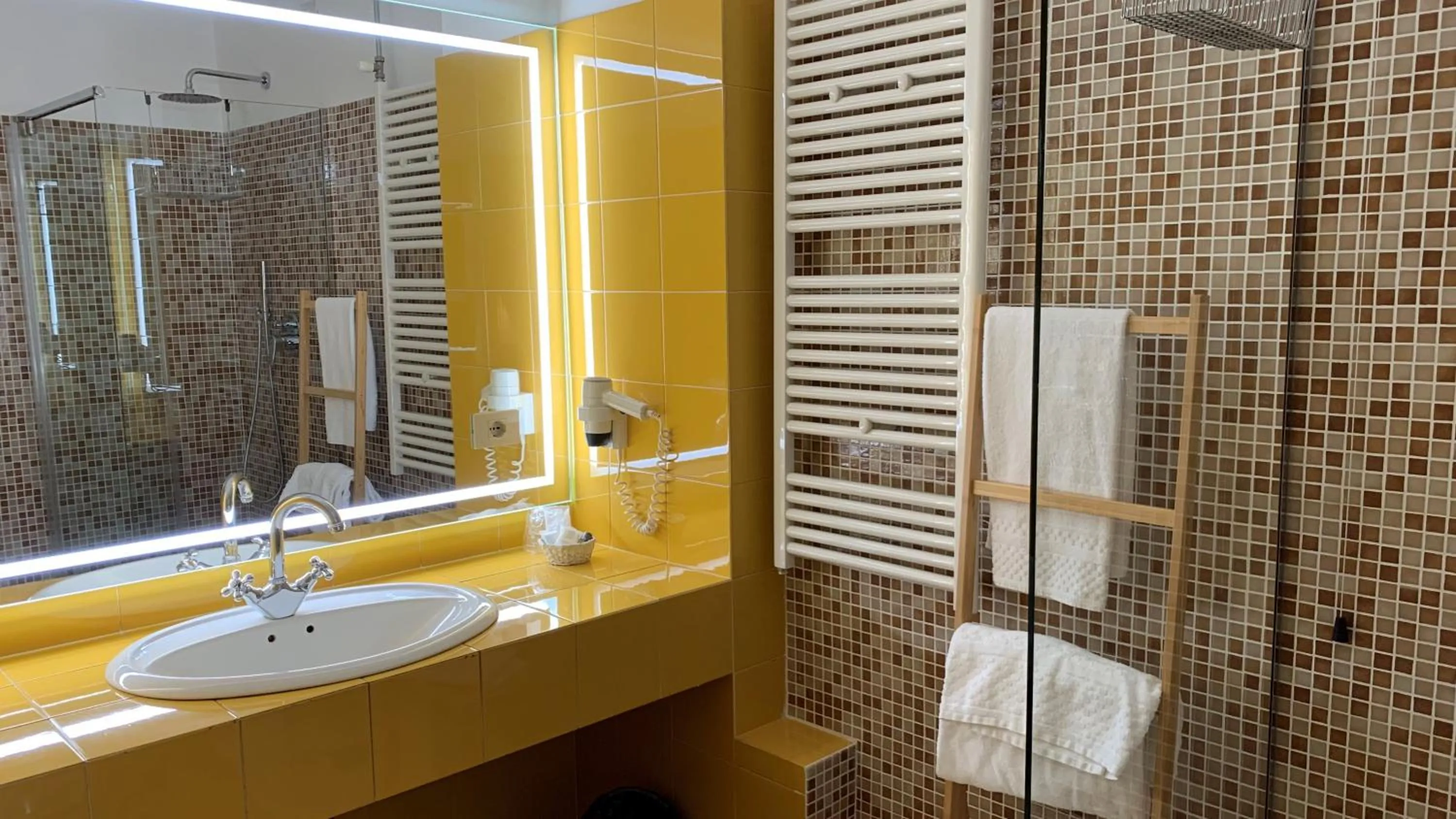 Shower in Hotel Roma