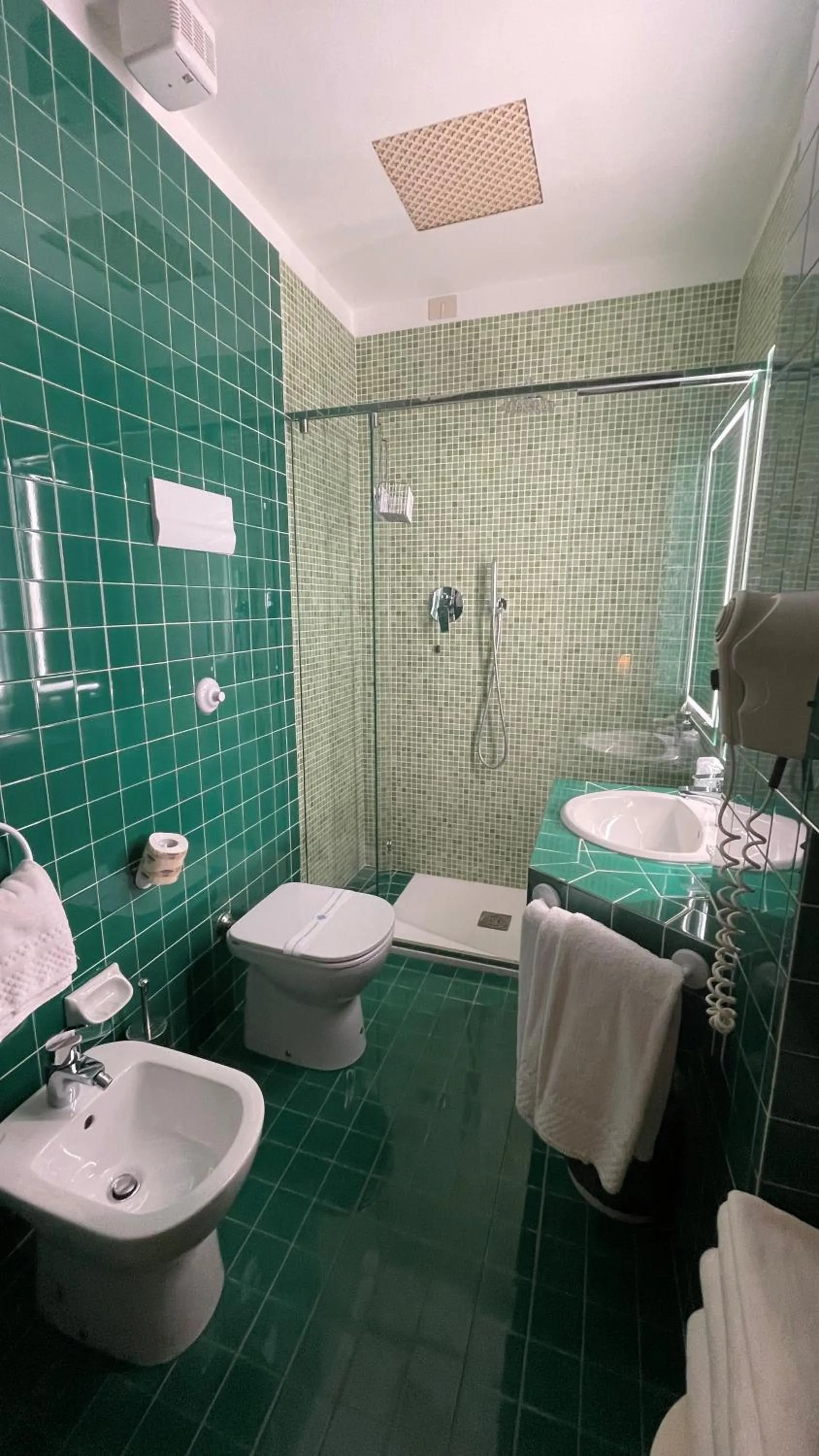 Shower in Hotel Roma