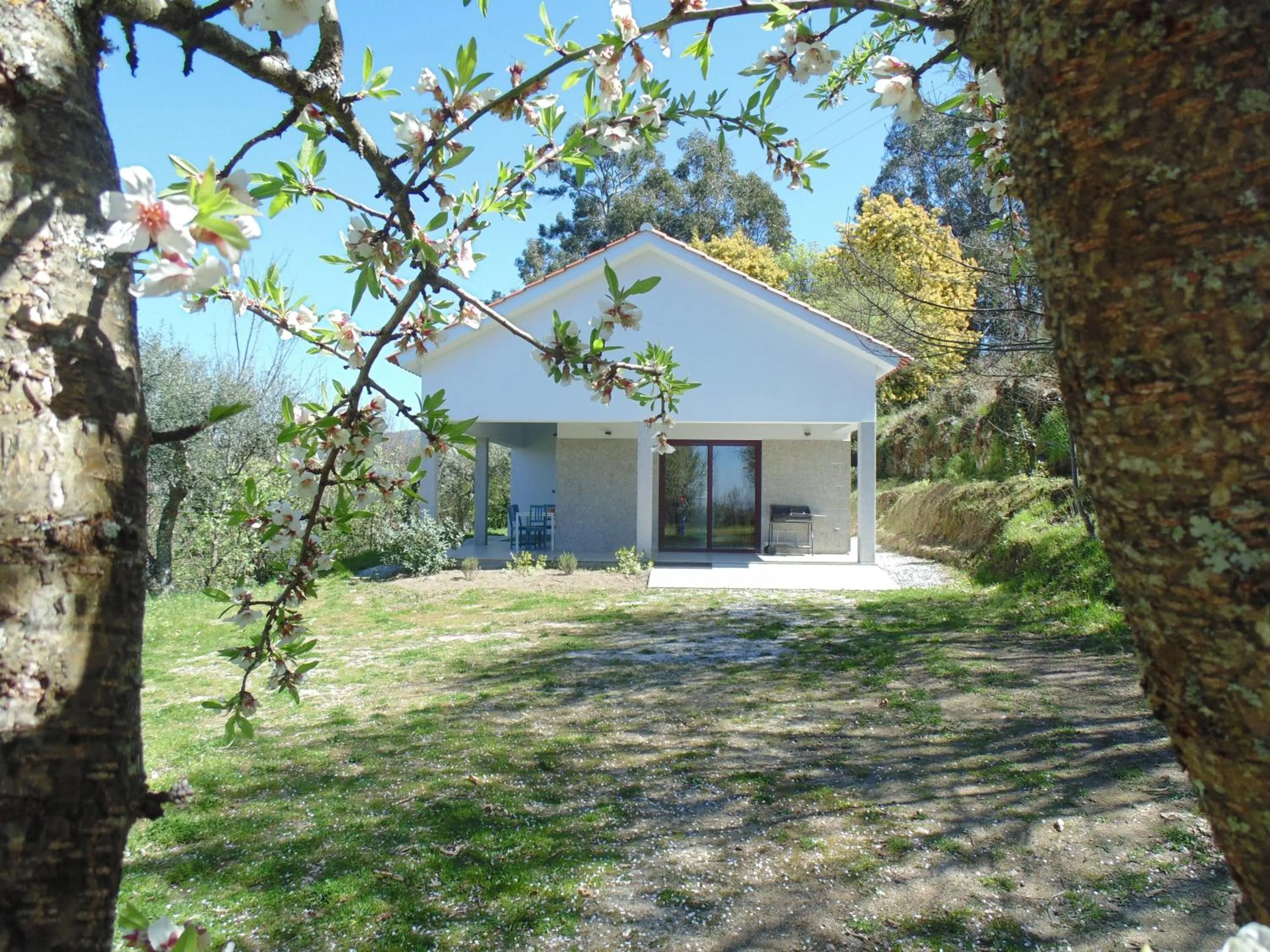 Area and facilities in Quinta das Cegonhas