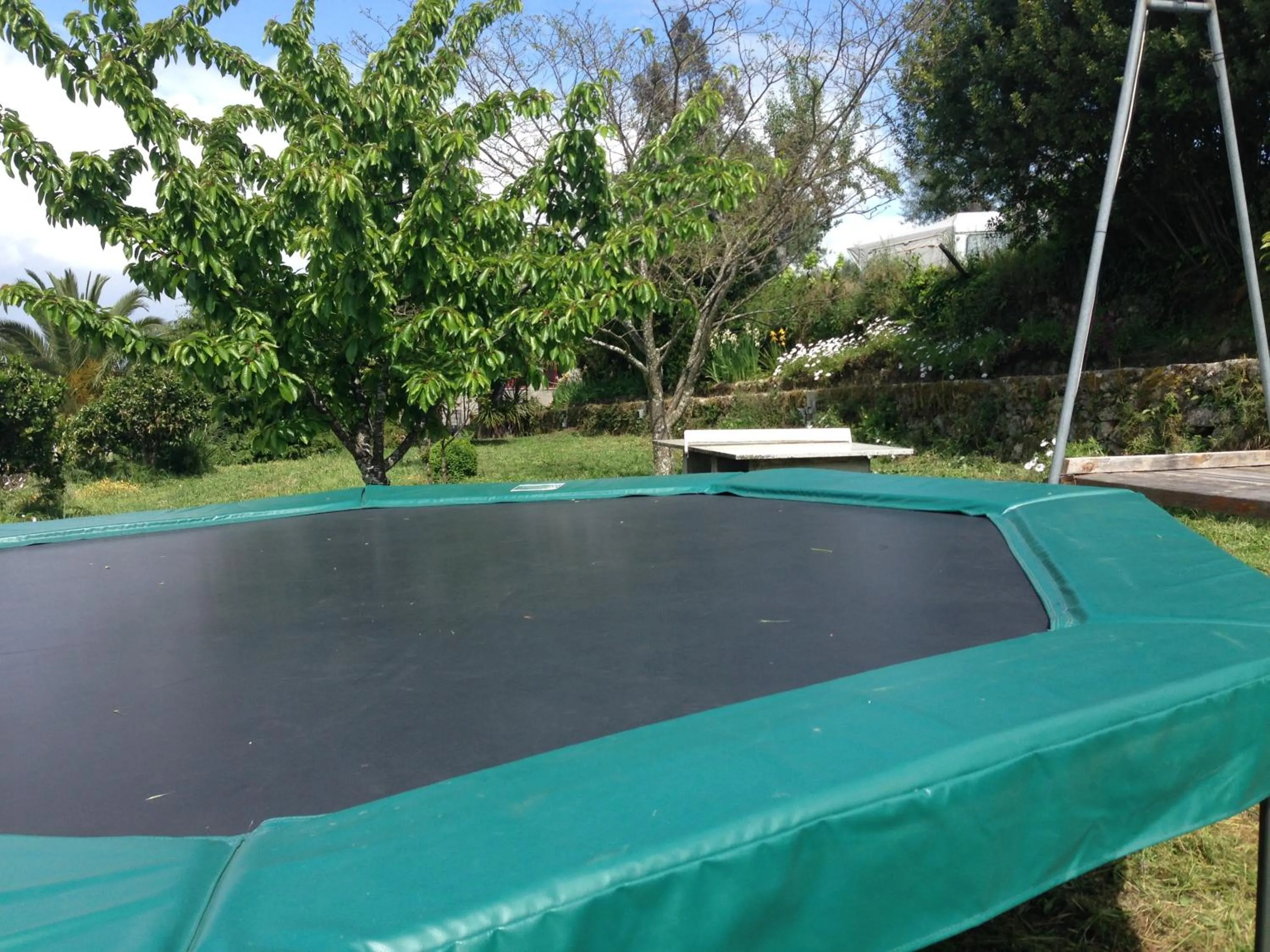 Activities in Quinta das Cegonhas
