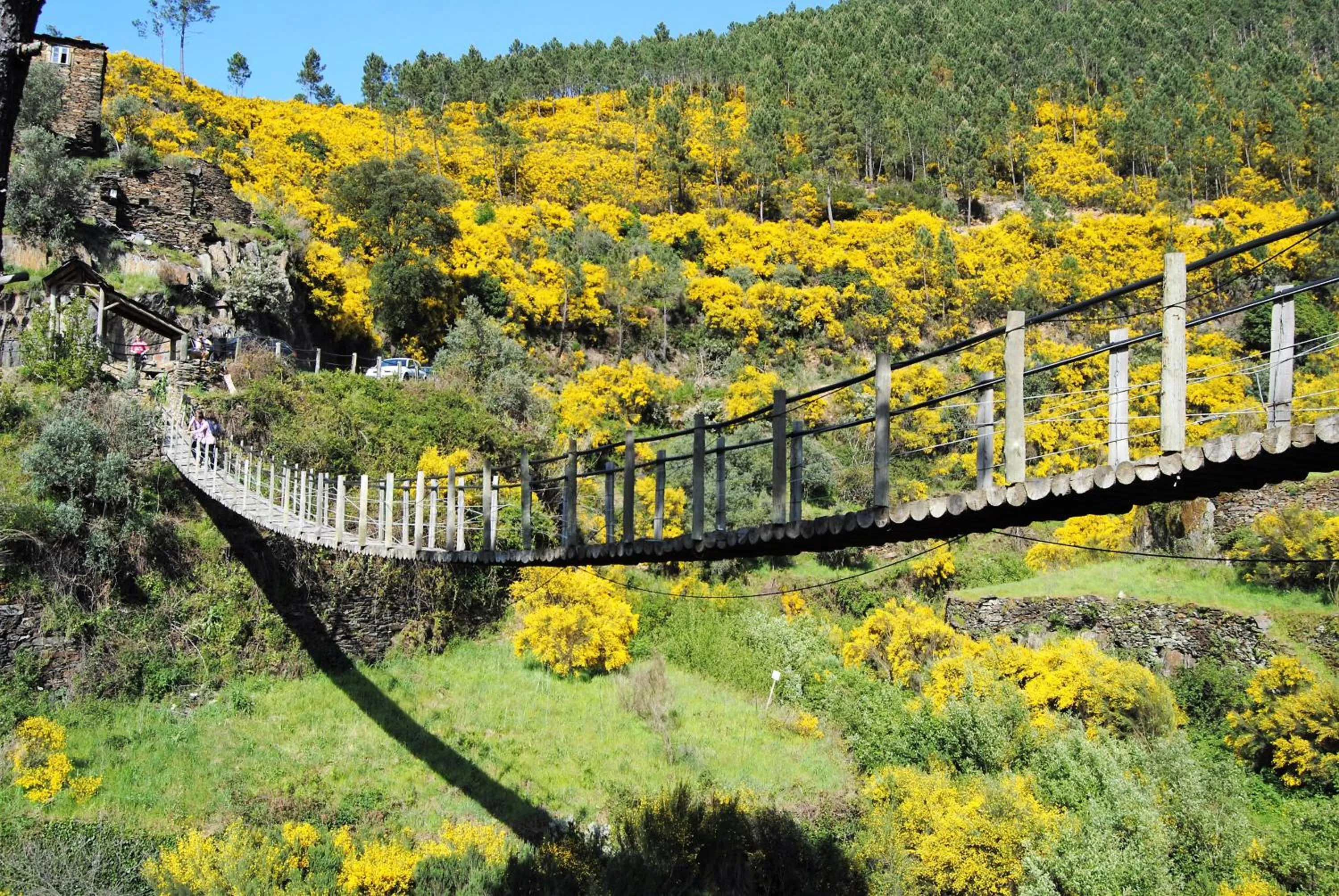 Natural landscape in Quinta da Palmeira - Country House Retreat & Spa