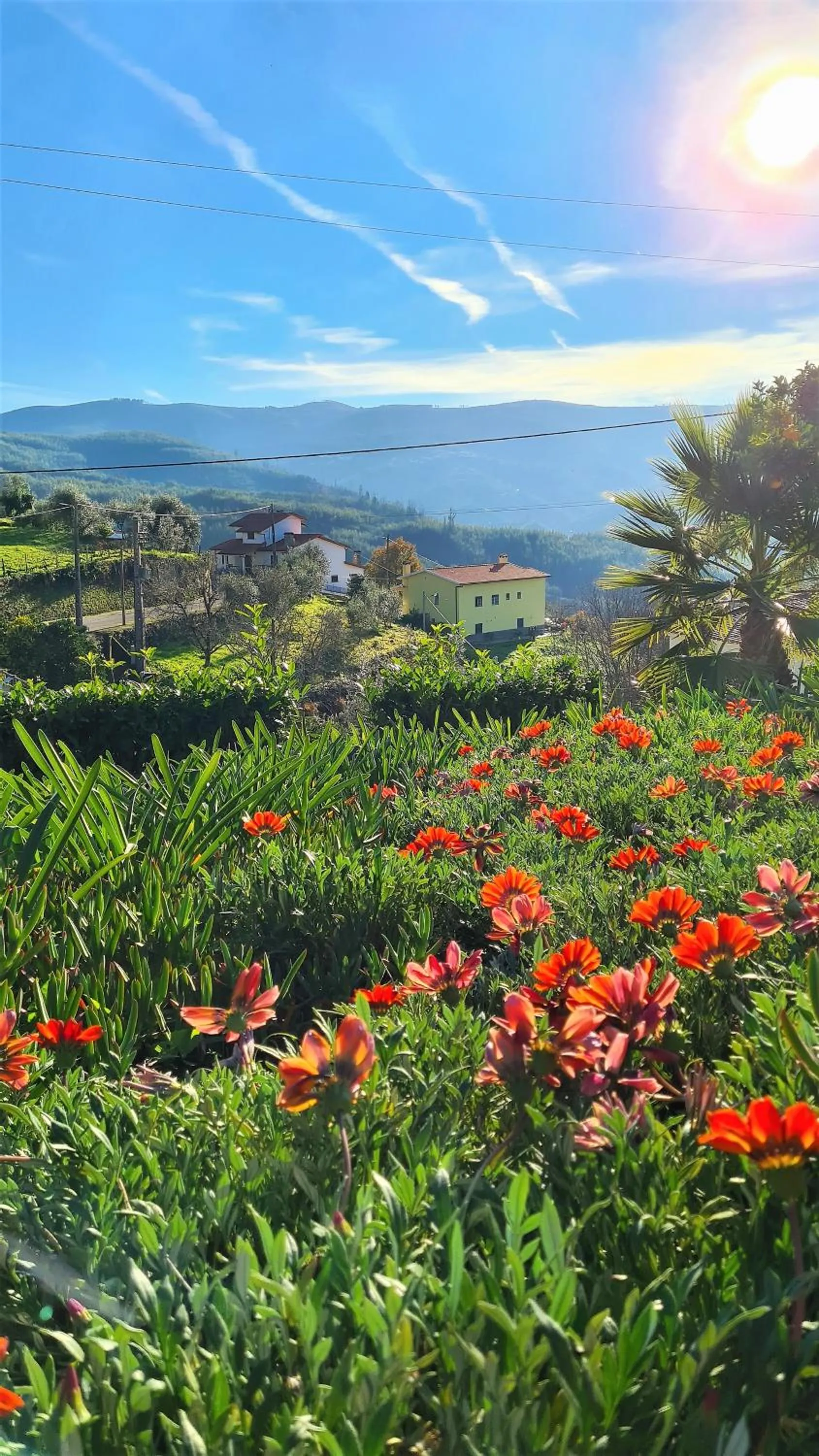 Garden in Quinta da Palmeira - Country House Retreat & Spa