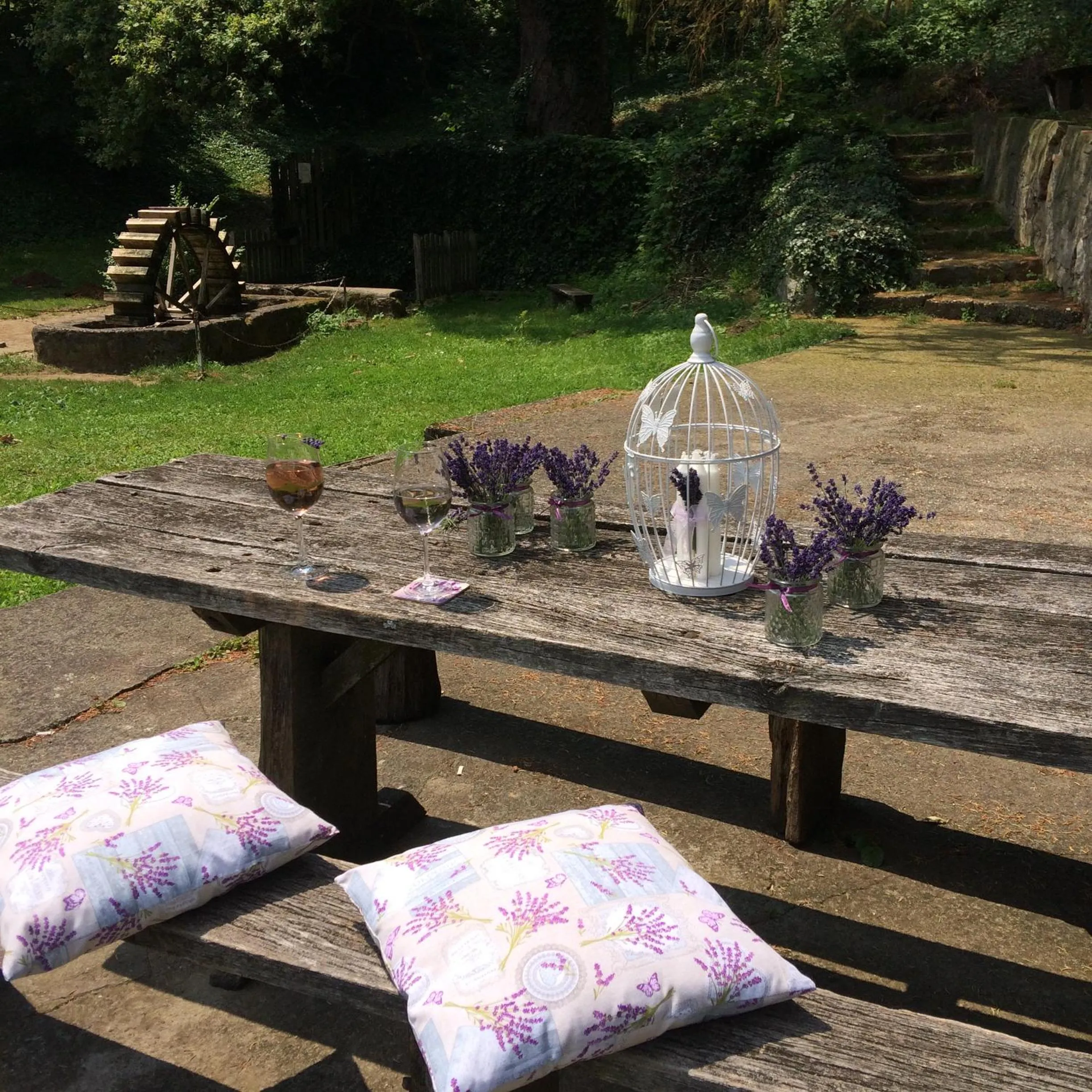 Garden in Hotel Síkfőkút