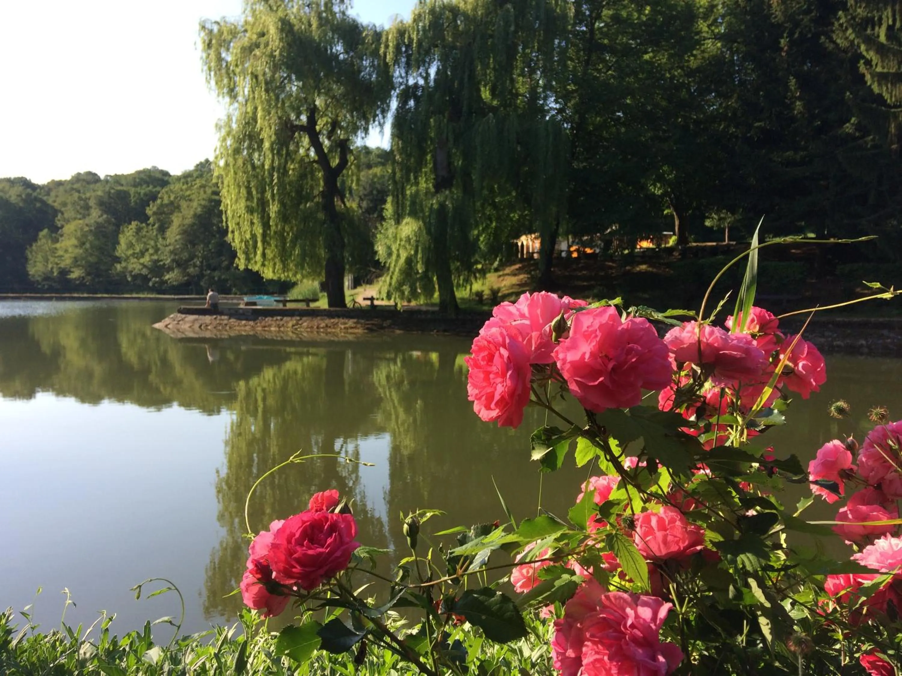 Fishing in Hotel Síkfőkút