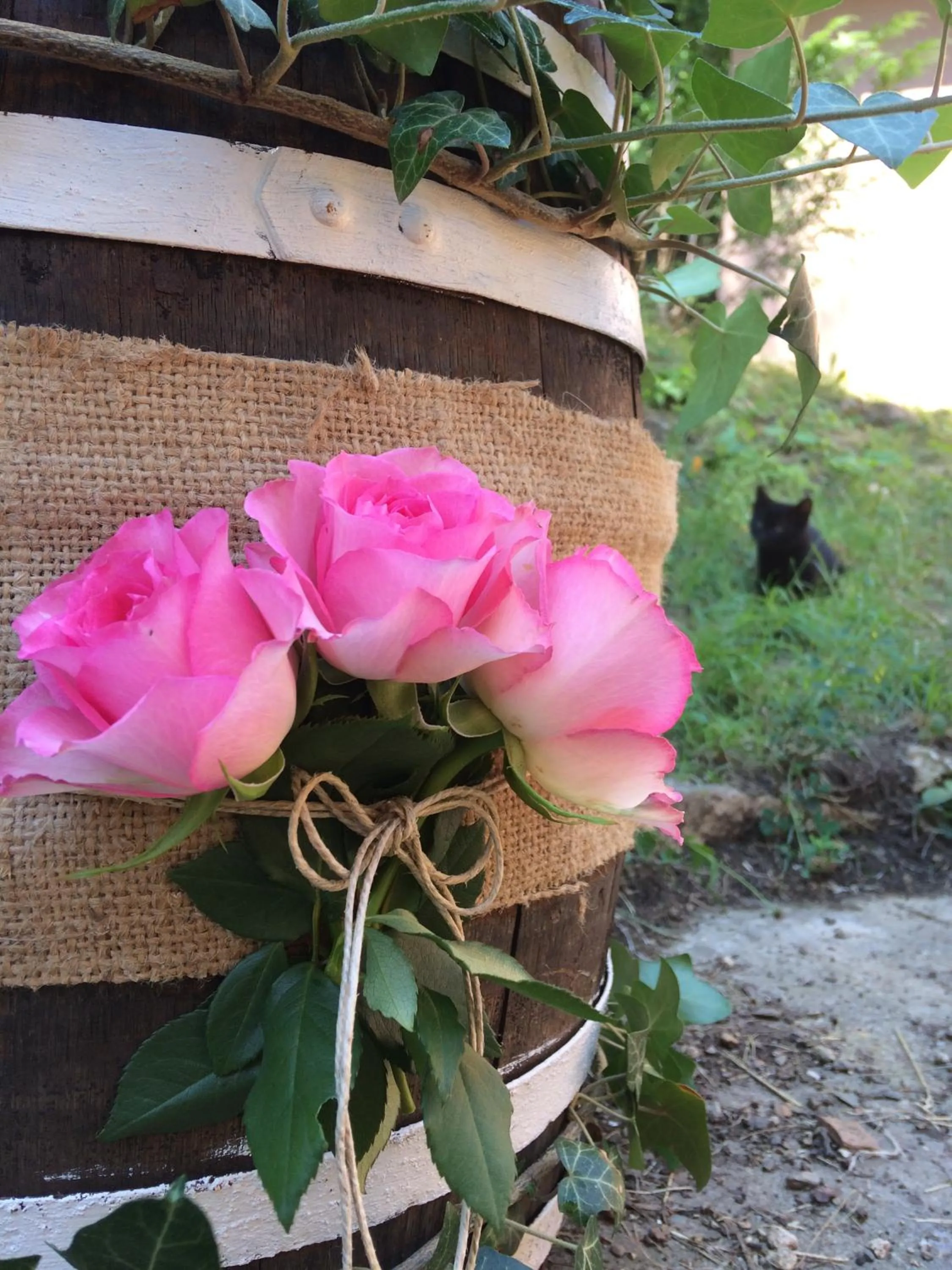 Garden in Hotel Síkfőkút