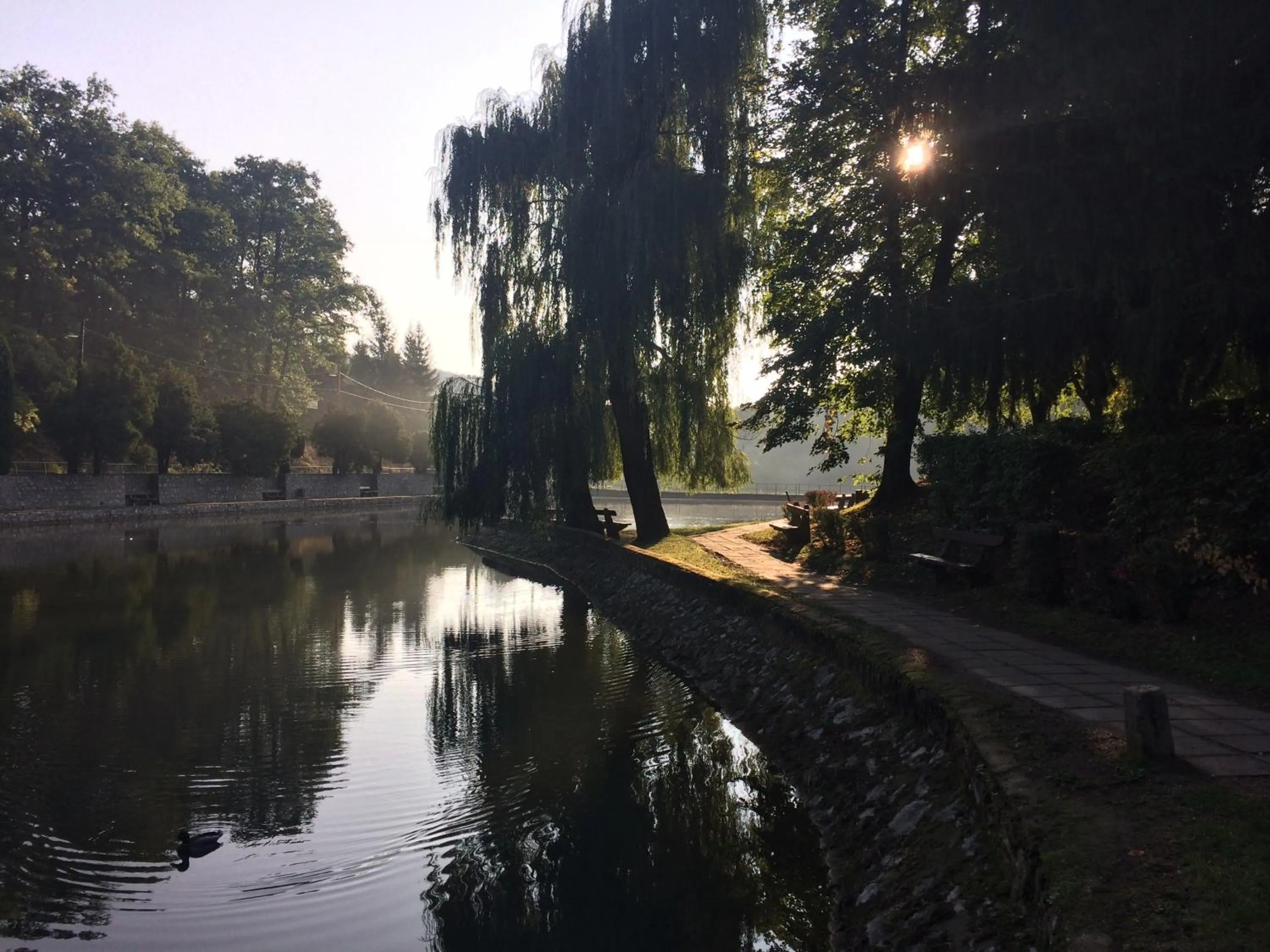Natural landscape in Hotel Síkfőkút
