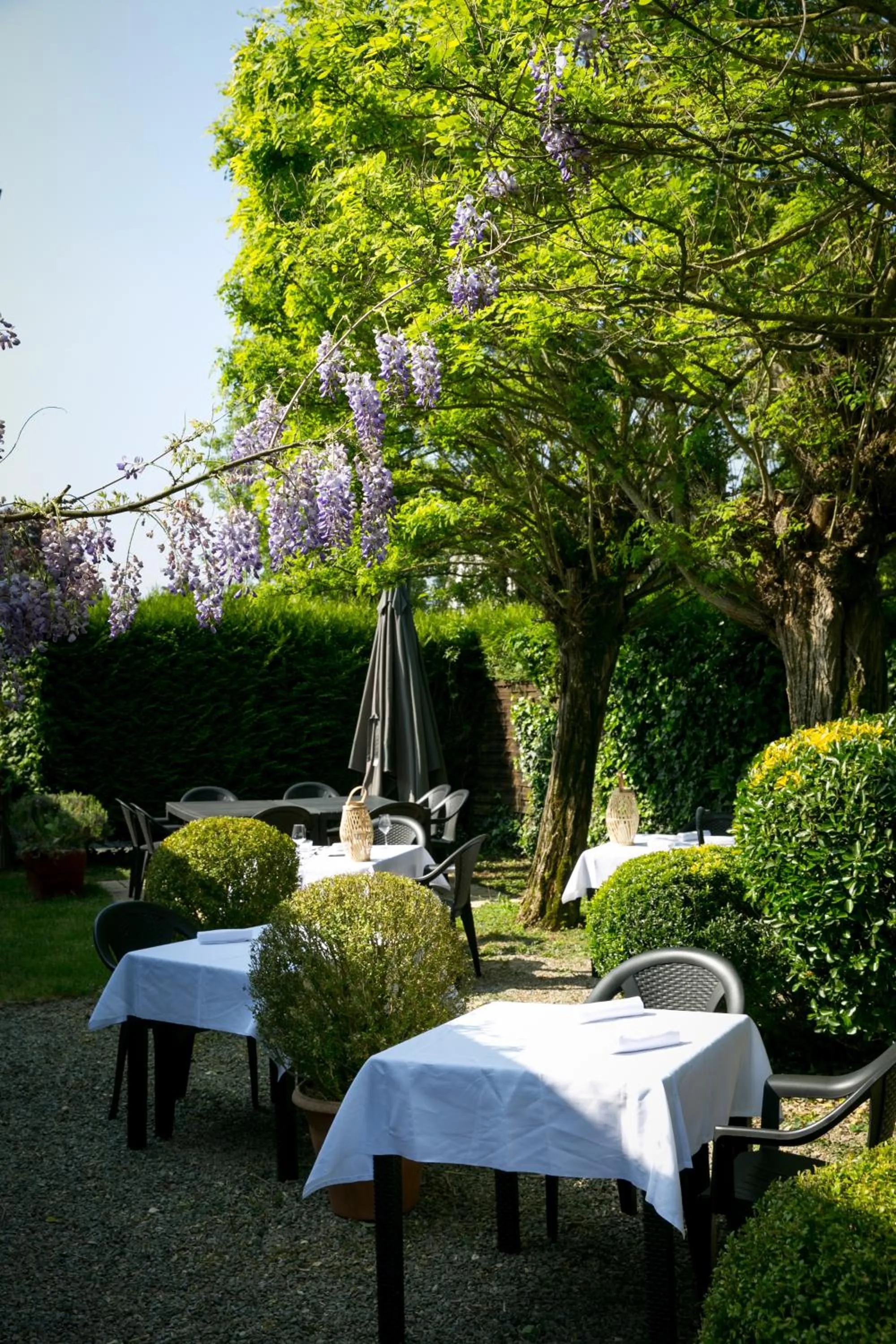 Logis Auberge De L'ombrée