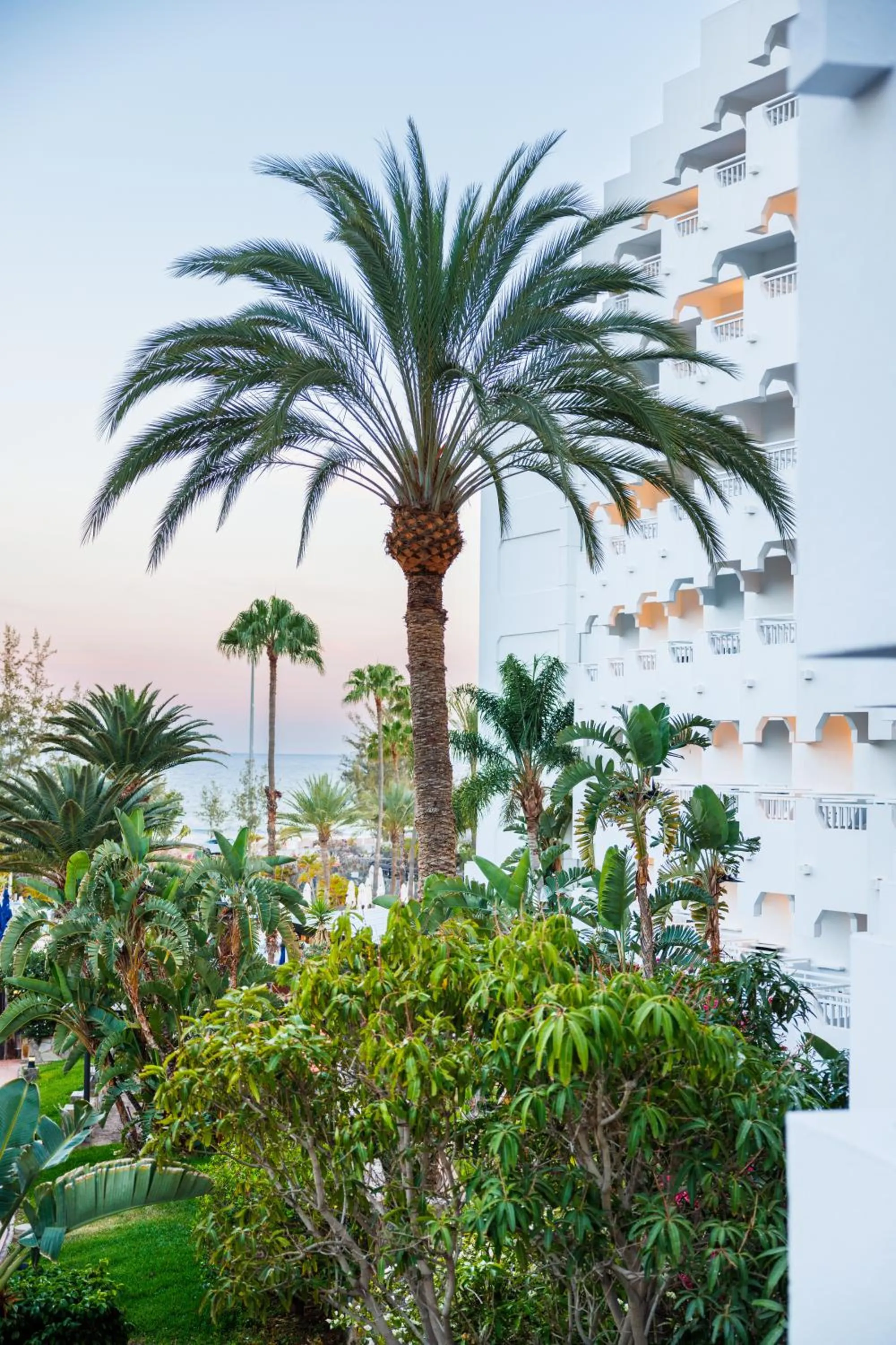 Natural landscape in Hapimag San Agustín