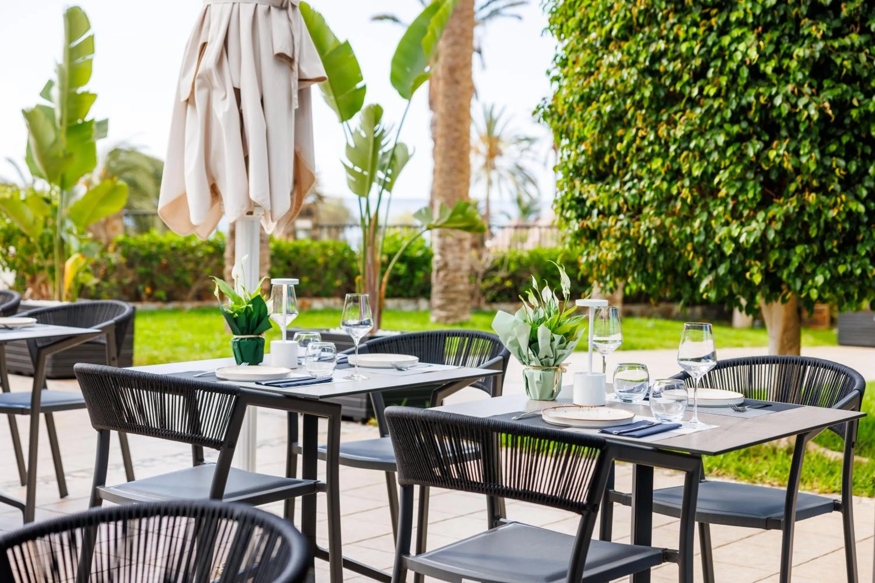 Restaurant/places to eat in Hapimag San Agustín