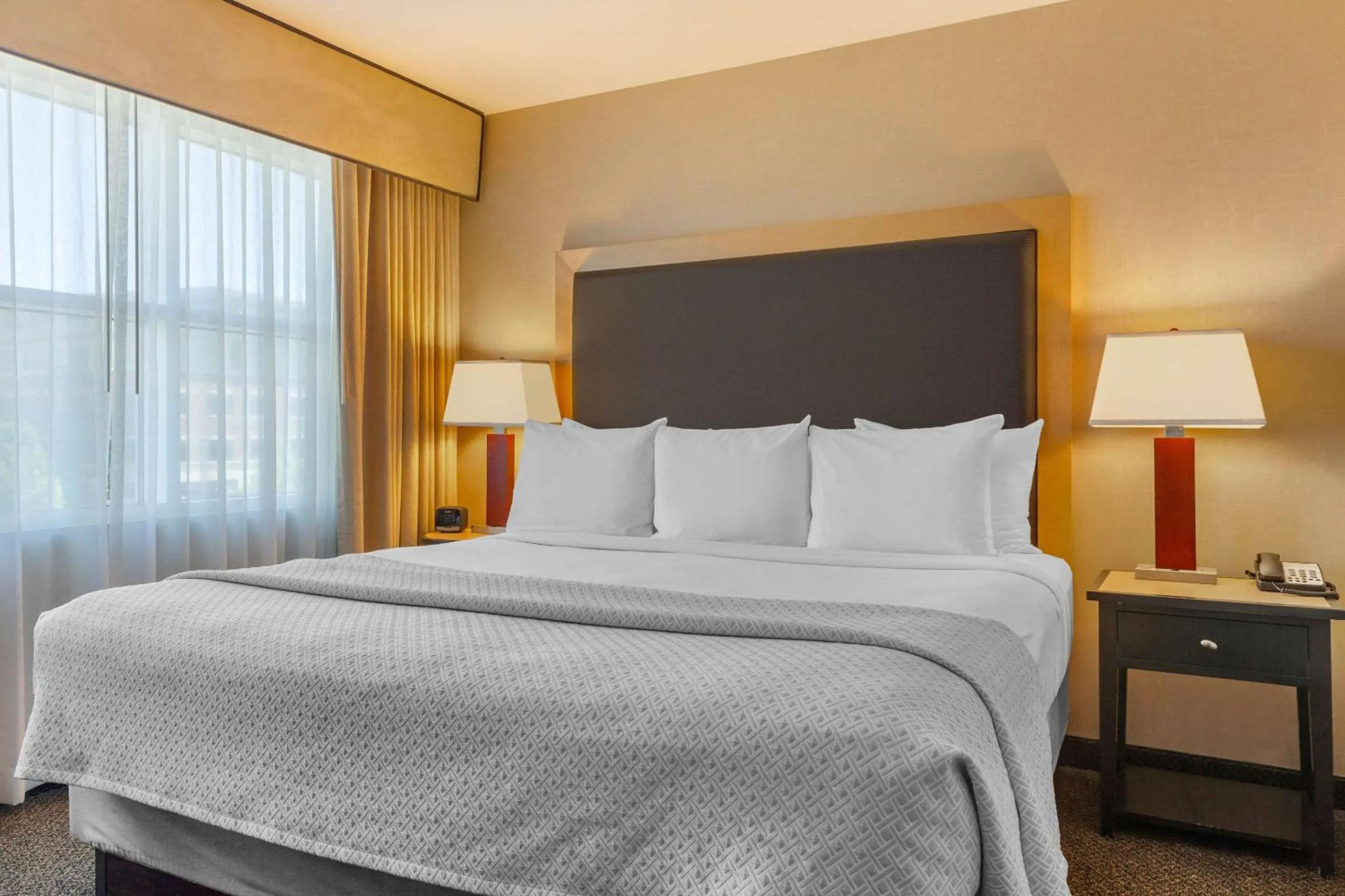 Bedroom in Cambria Hotel Ft Collins