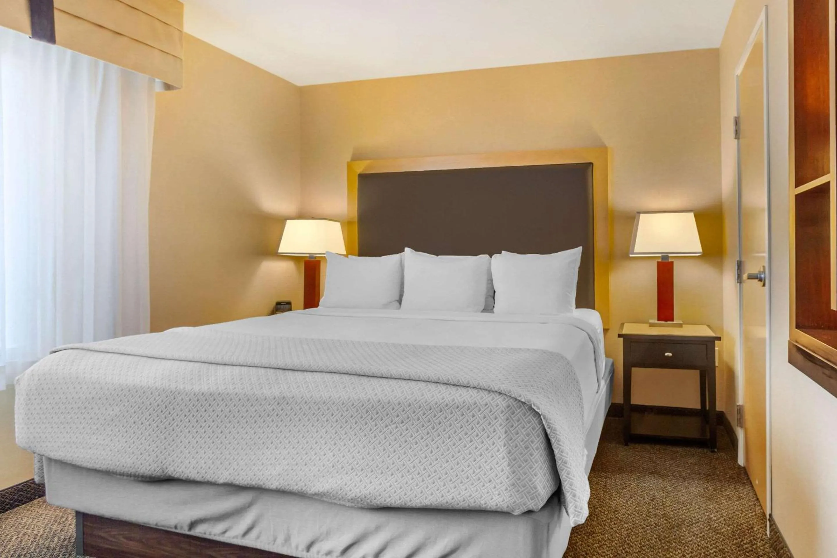 Bedroom in Cambria Hotel Ft Collins