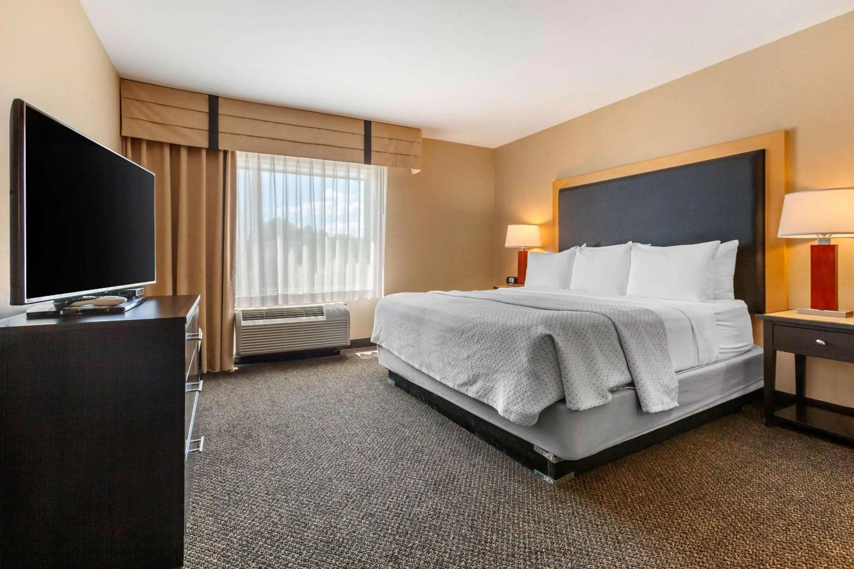 Bedroom in Cambria Hotel Ft Collins