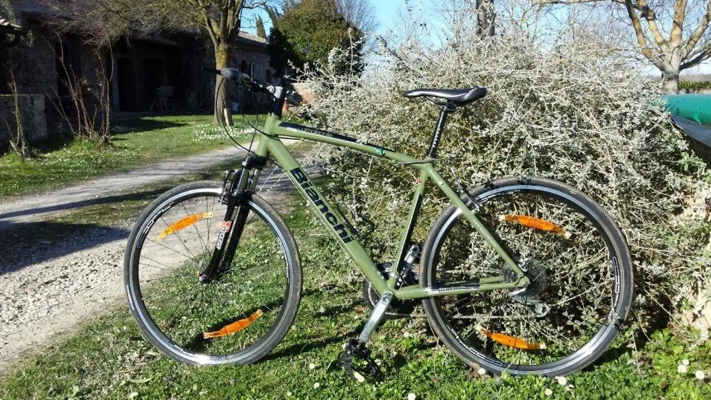 Cycling in B&B Palazzo a Merse