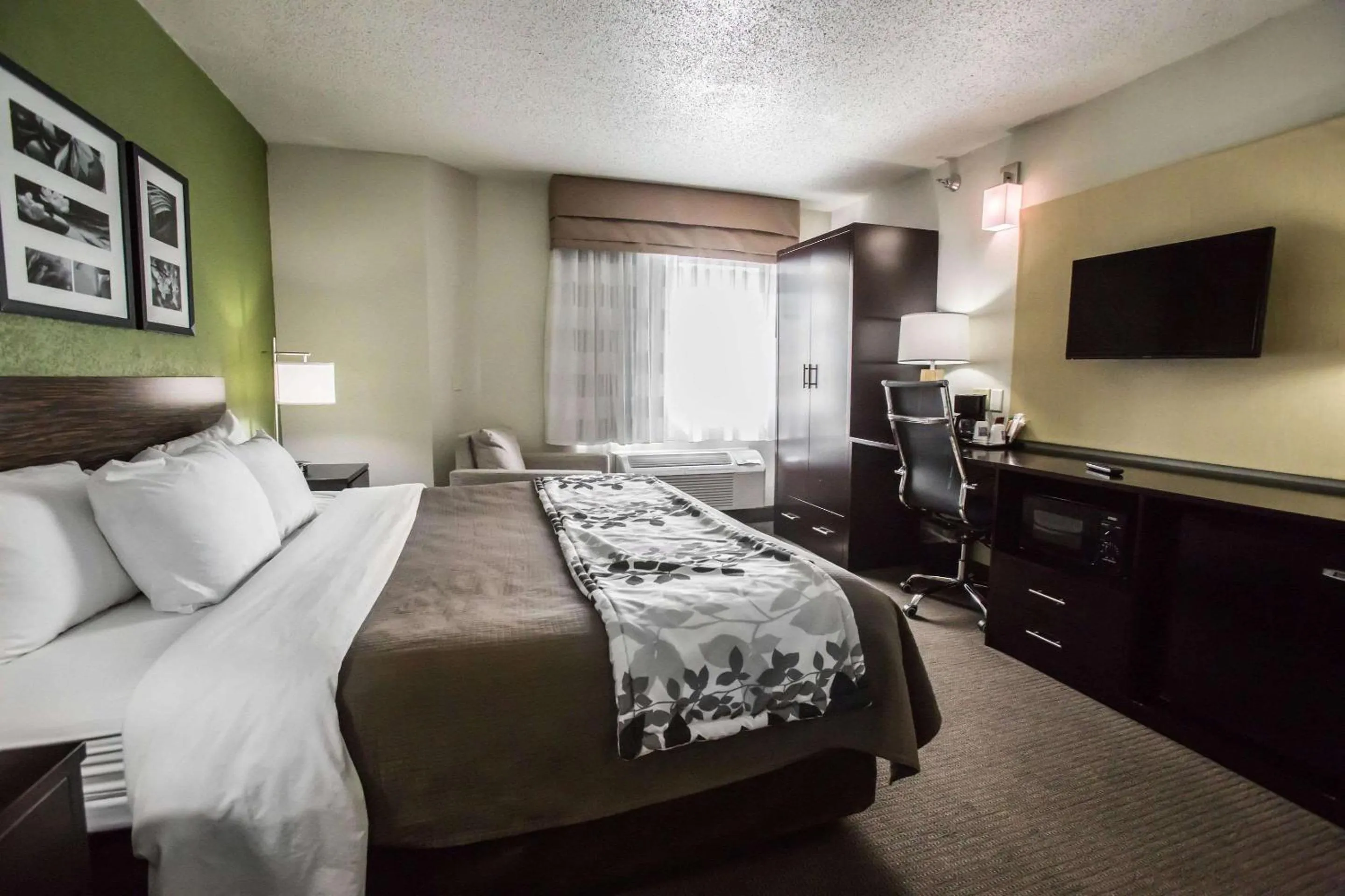 Photo of the whole room, Bed in Sleep Inn Rockford I-90