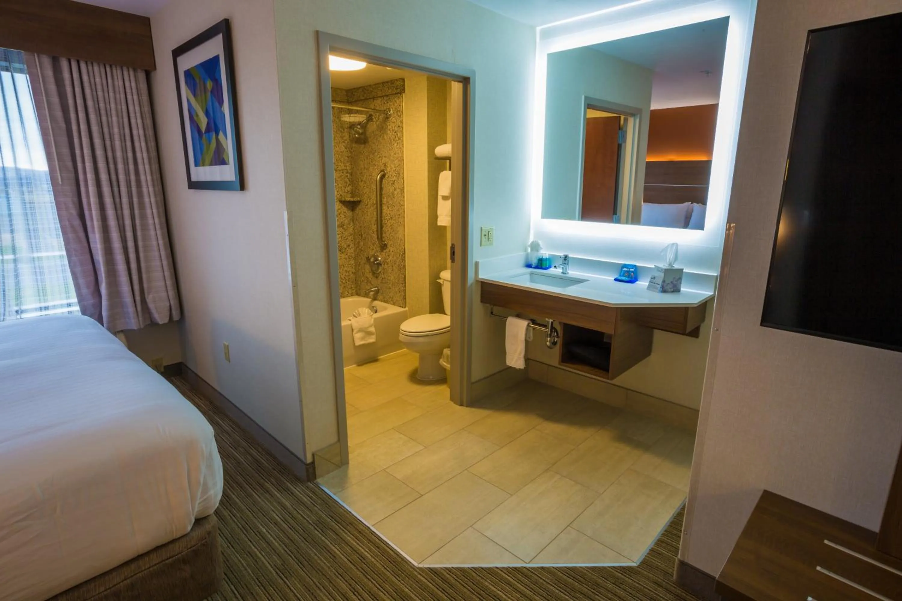 Bathroom, Bed in Holiday Inn Express Hotel & Suites Pasco-TriCities by IHG