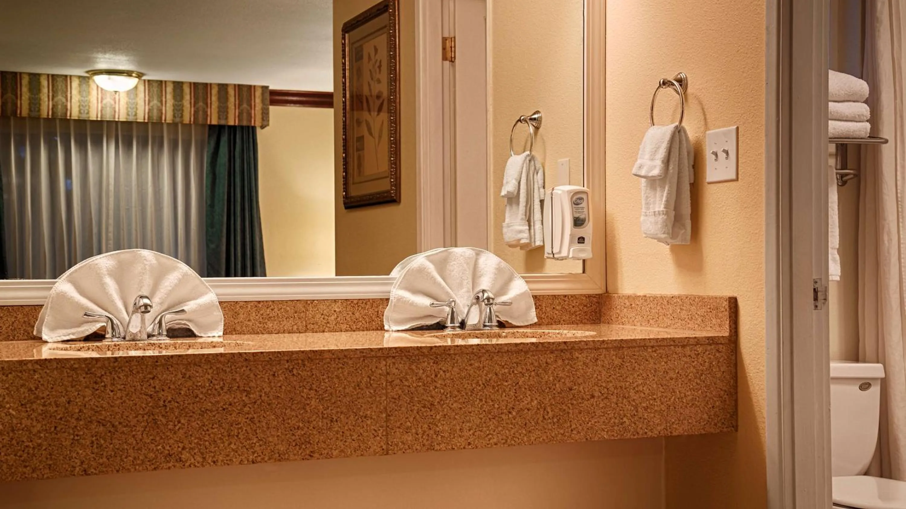 Bathroom in Best Western Garden Villa Inn